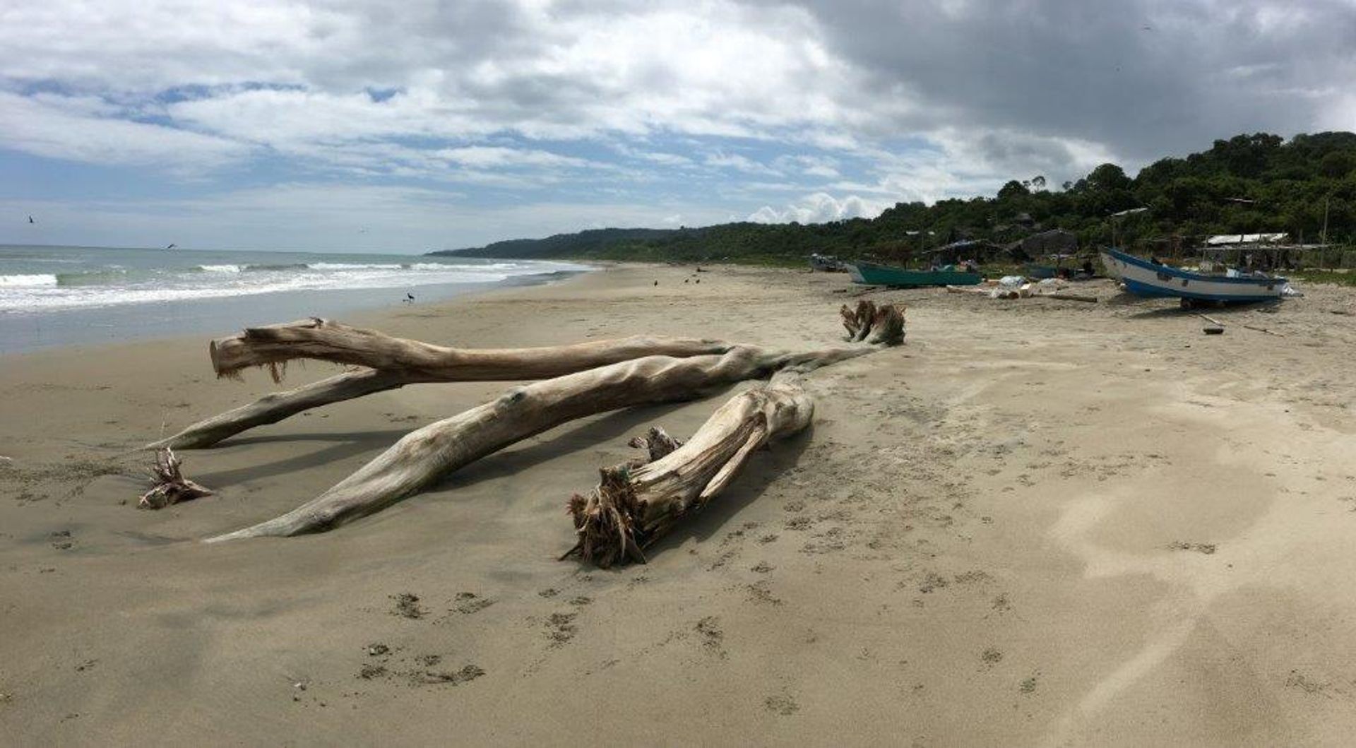 Condominium dans Canoa, Manabí 12195360