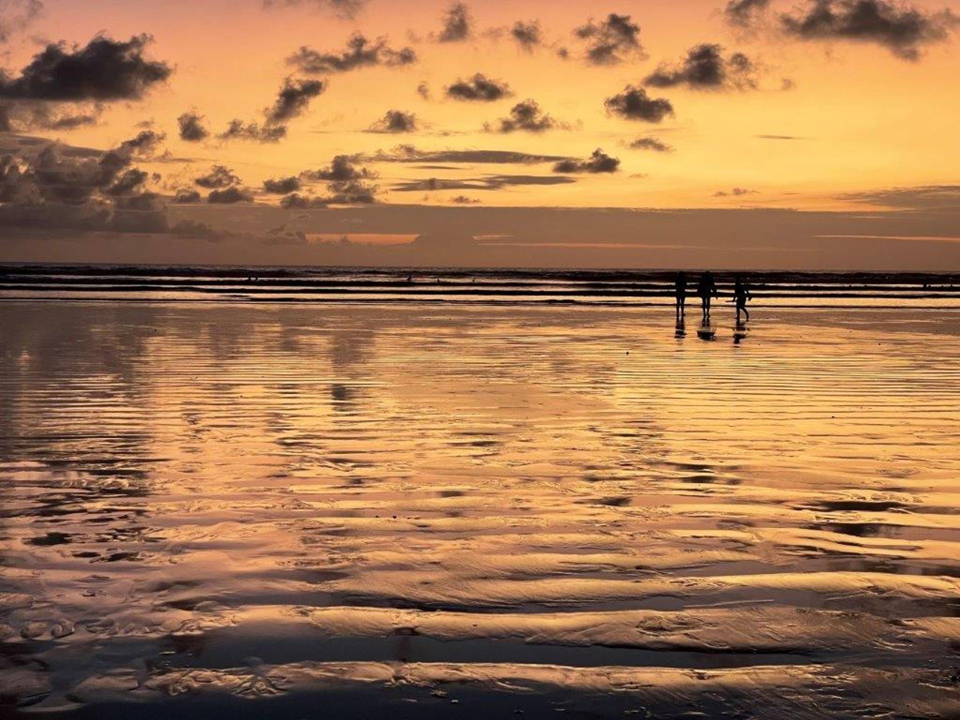 सम्मिलित में Canoa, Manabí 12195360