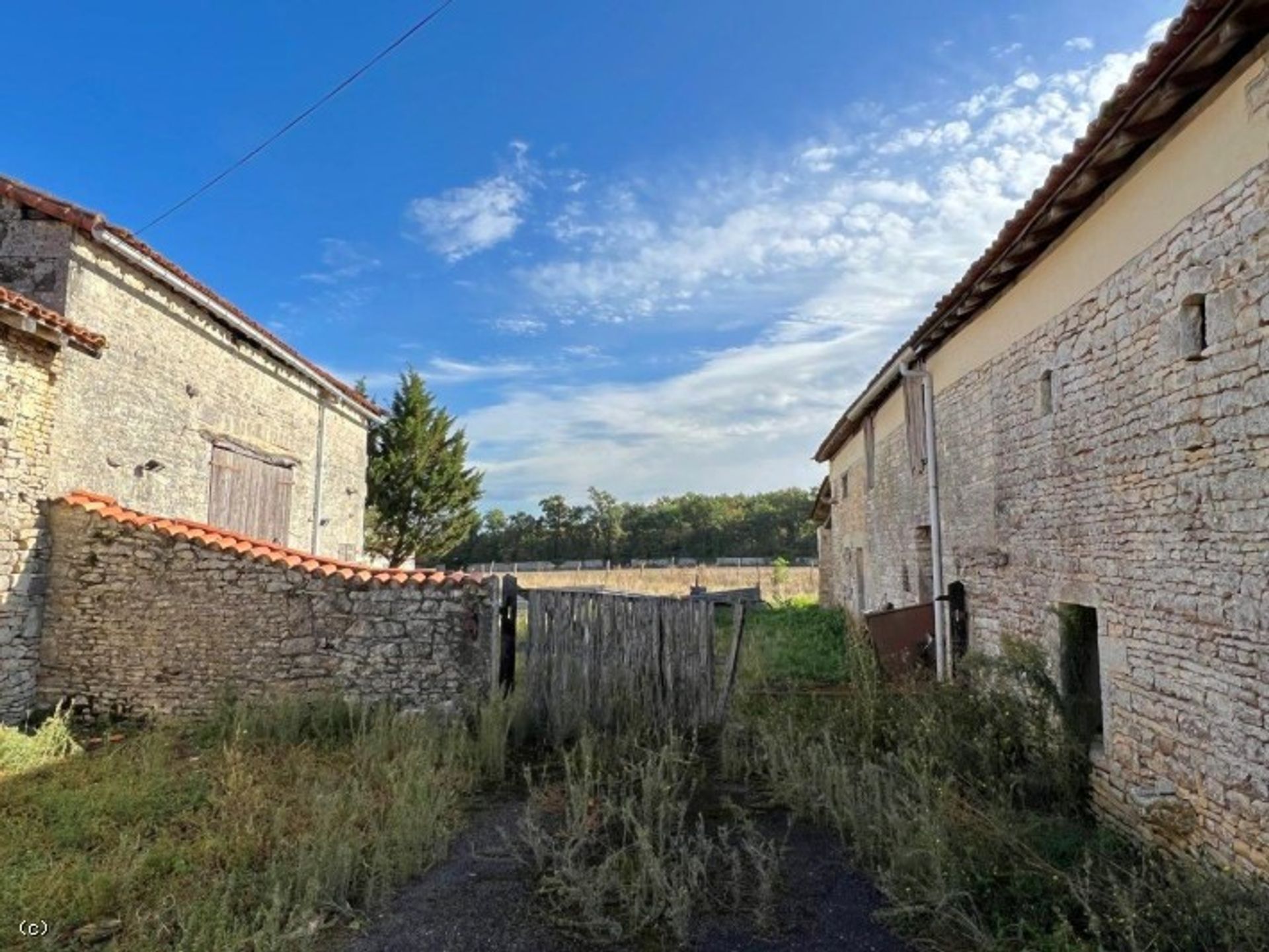 Altro nel Verteuil-sur-Charente, Nouvelle-Aquitaine 12199289