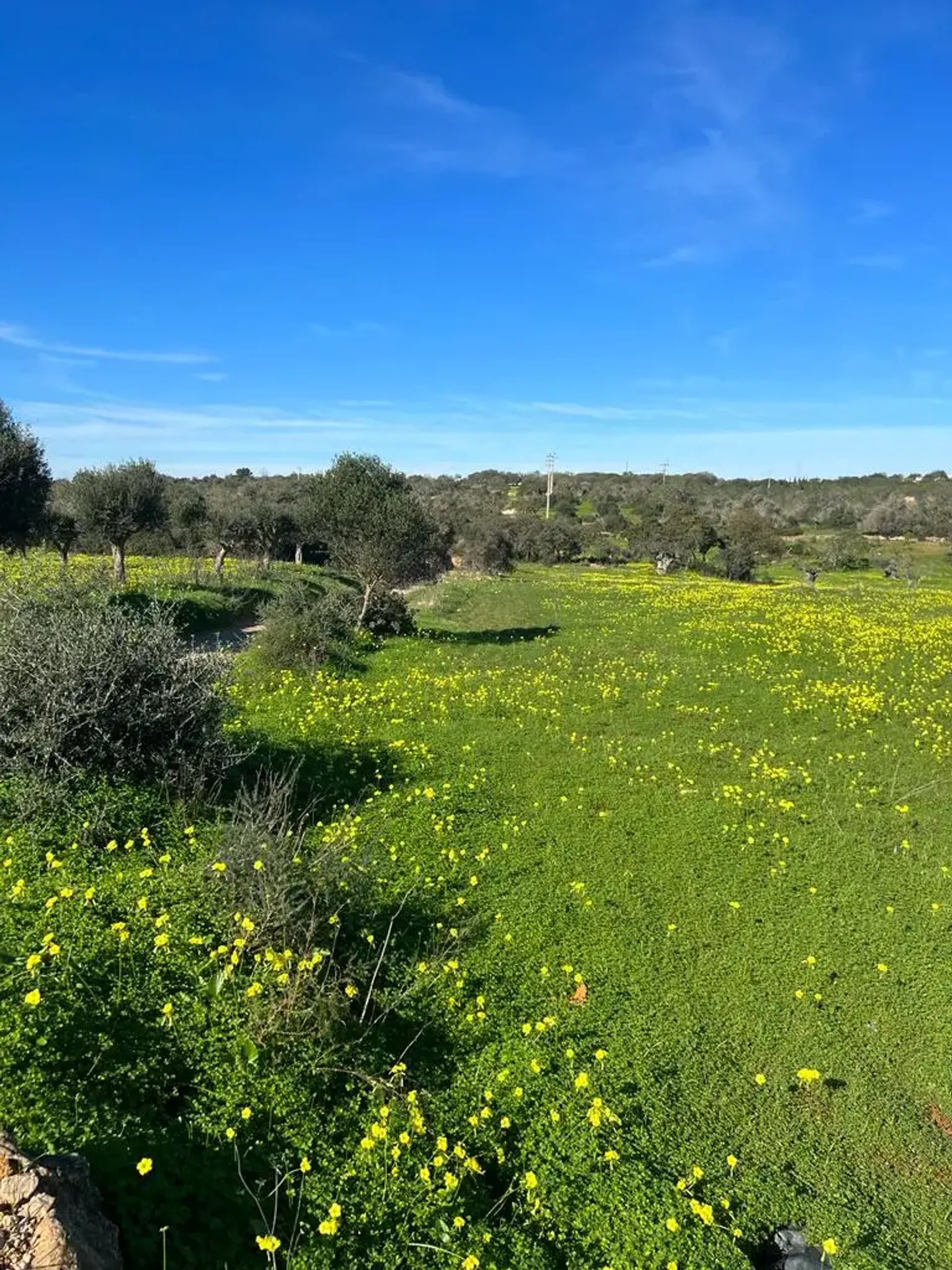 房子 在 Albufeira, Faro District 12200085