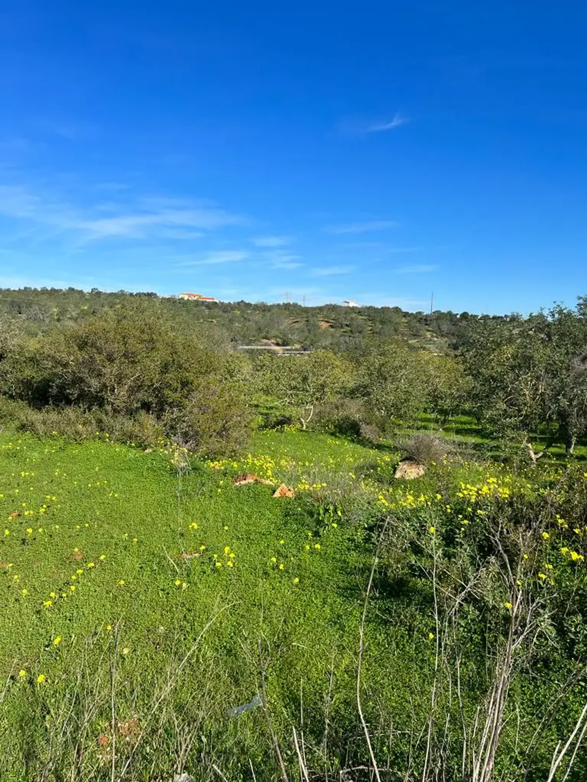 房子 在 Albufeira, Faro District 12200085