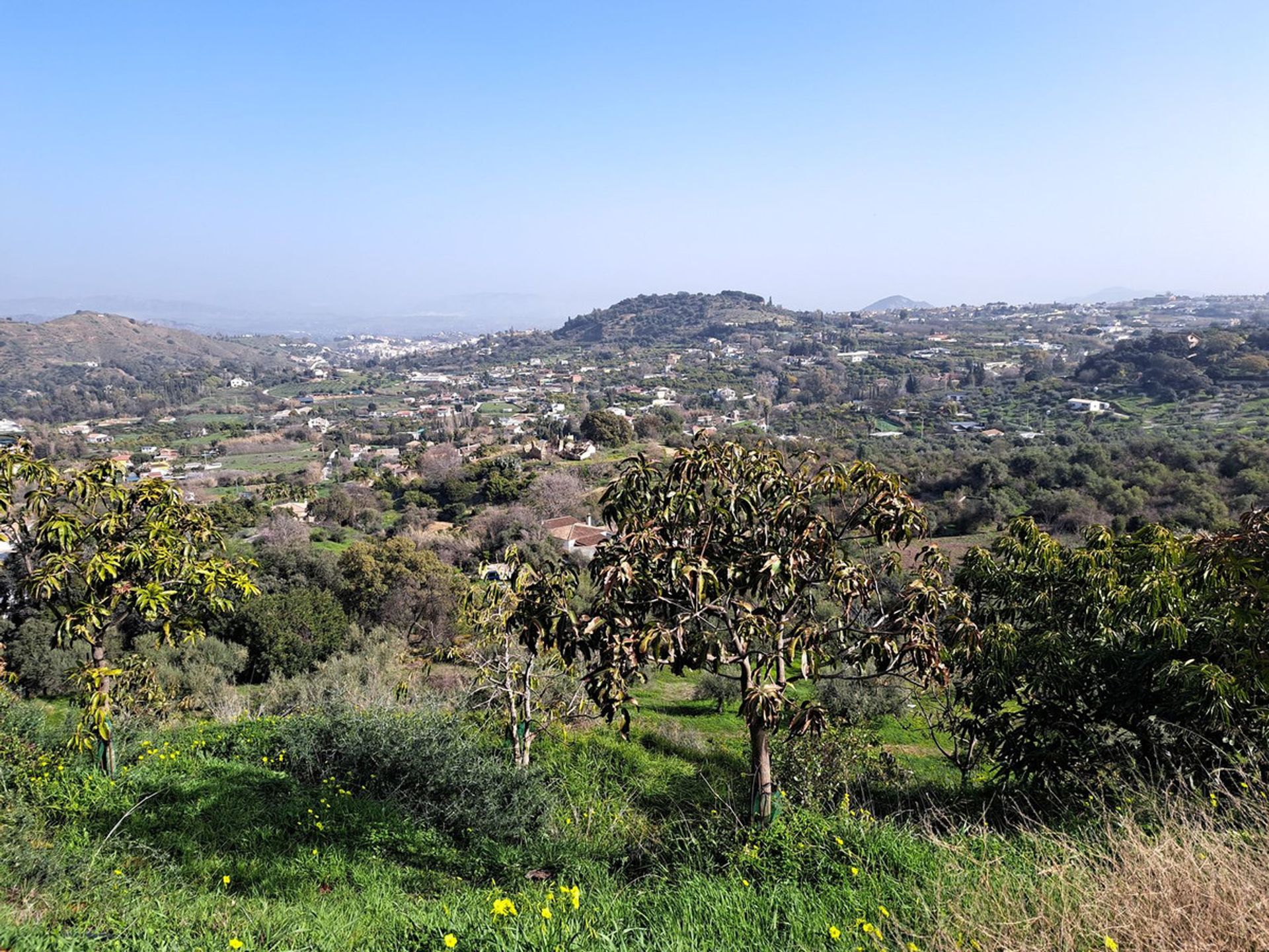 房子 在 Coín, Andalusia 12200531