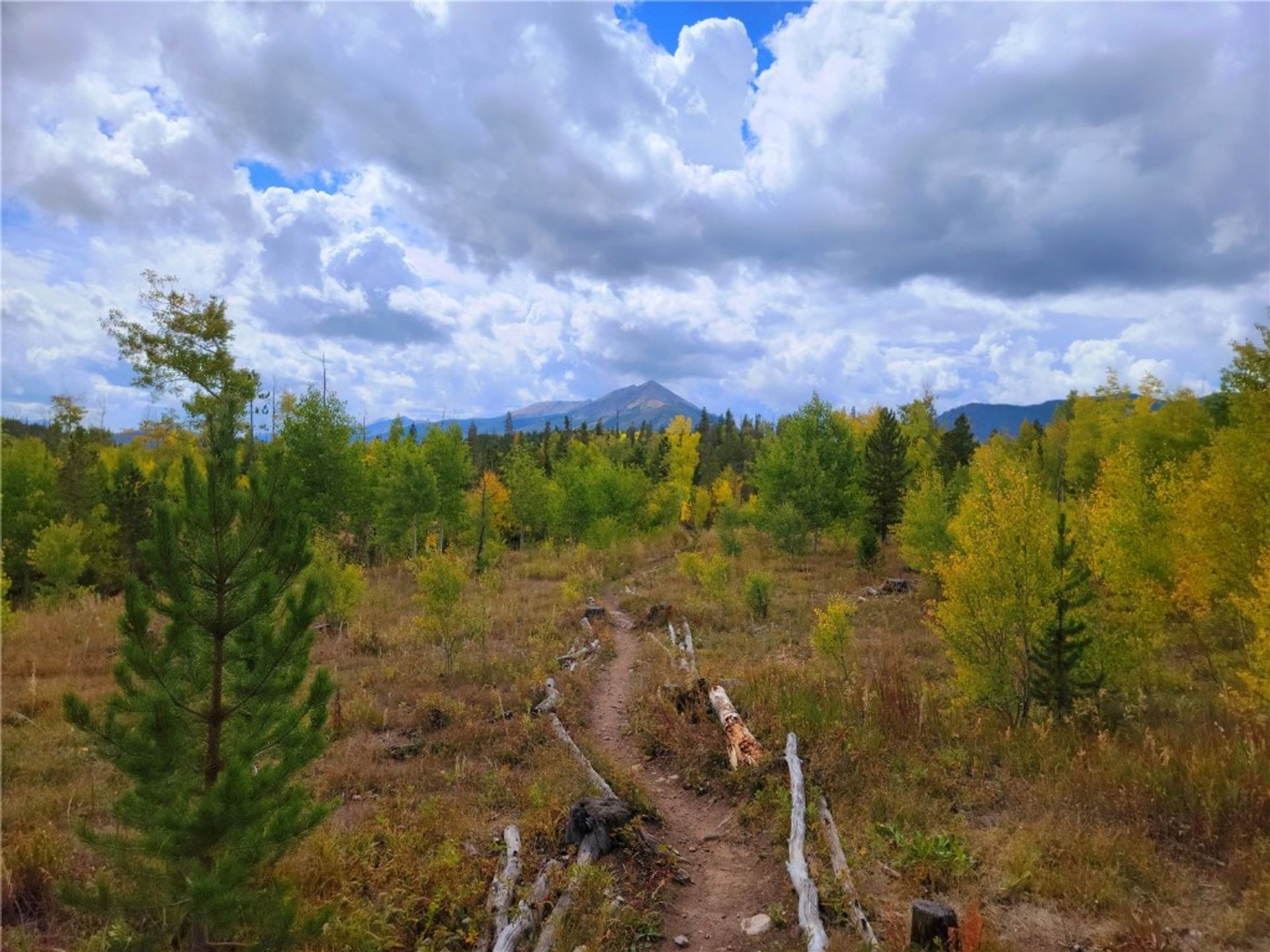 жилой дом в Silverthorne, Colorado 12201109