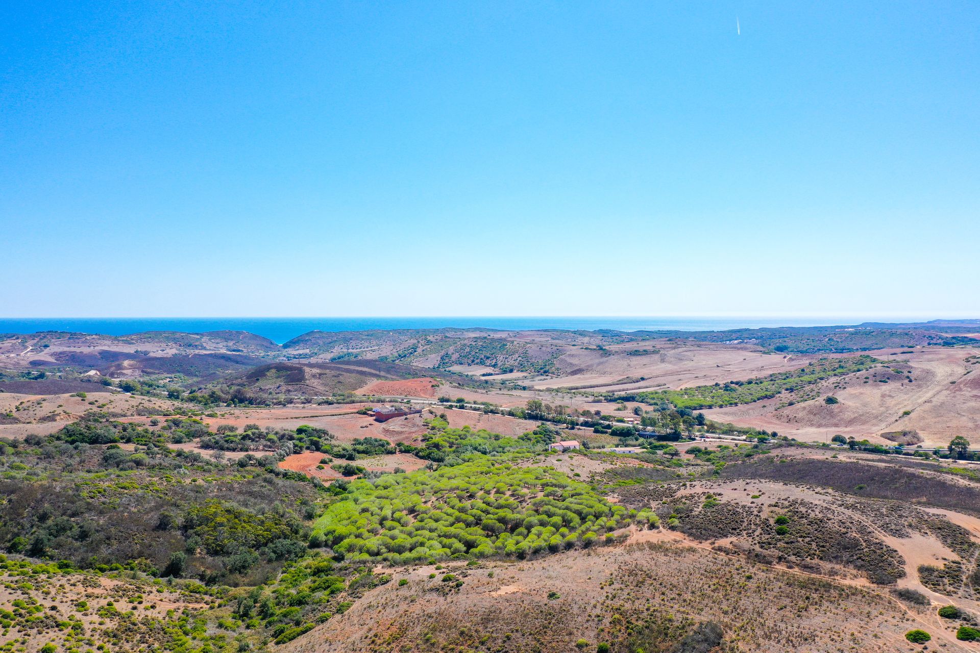 Tierra en raposeira, Faraón 12202642