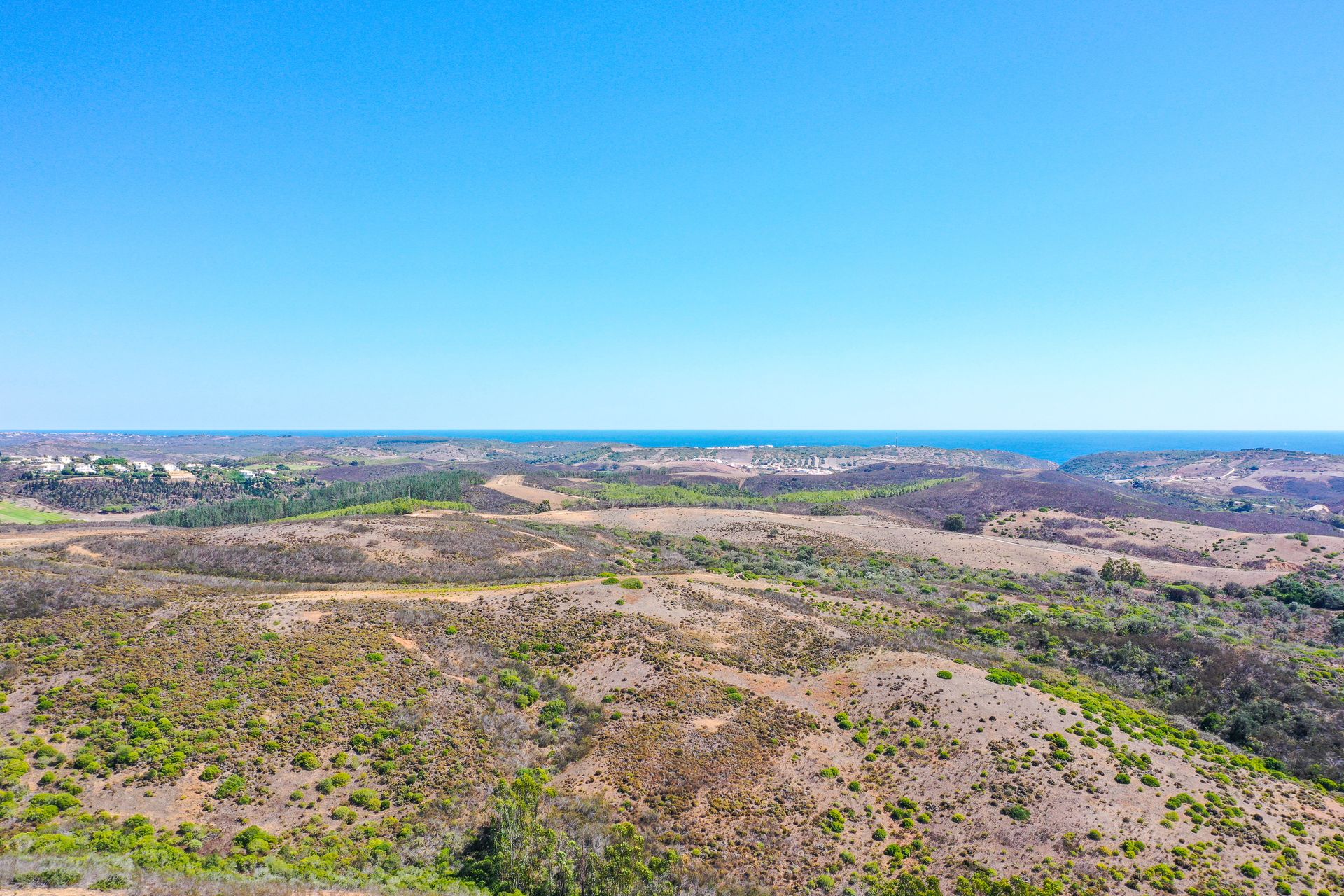 Tierra en raposeira, Faraón 12202642