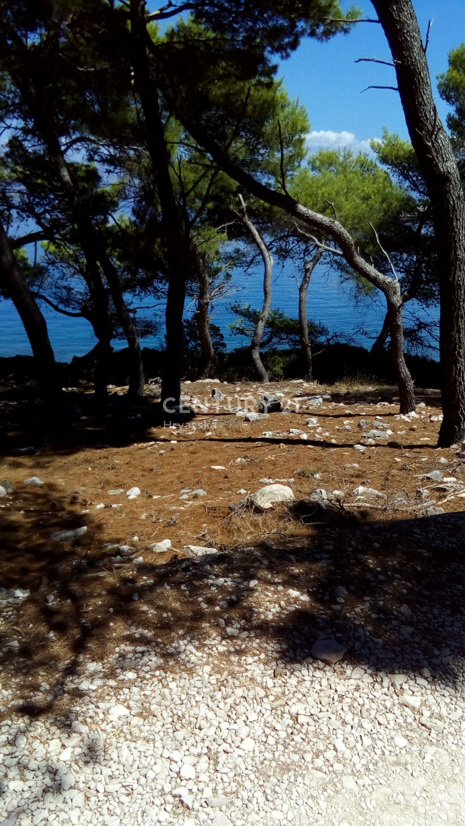 Land i , Split-Dalmatia County 12202655