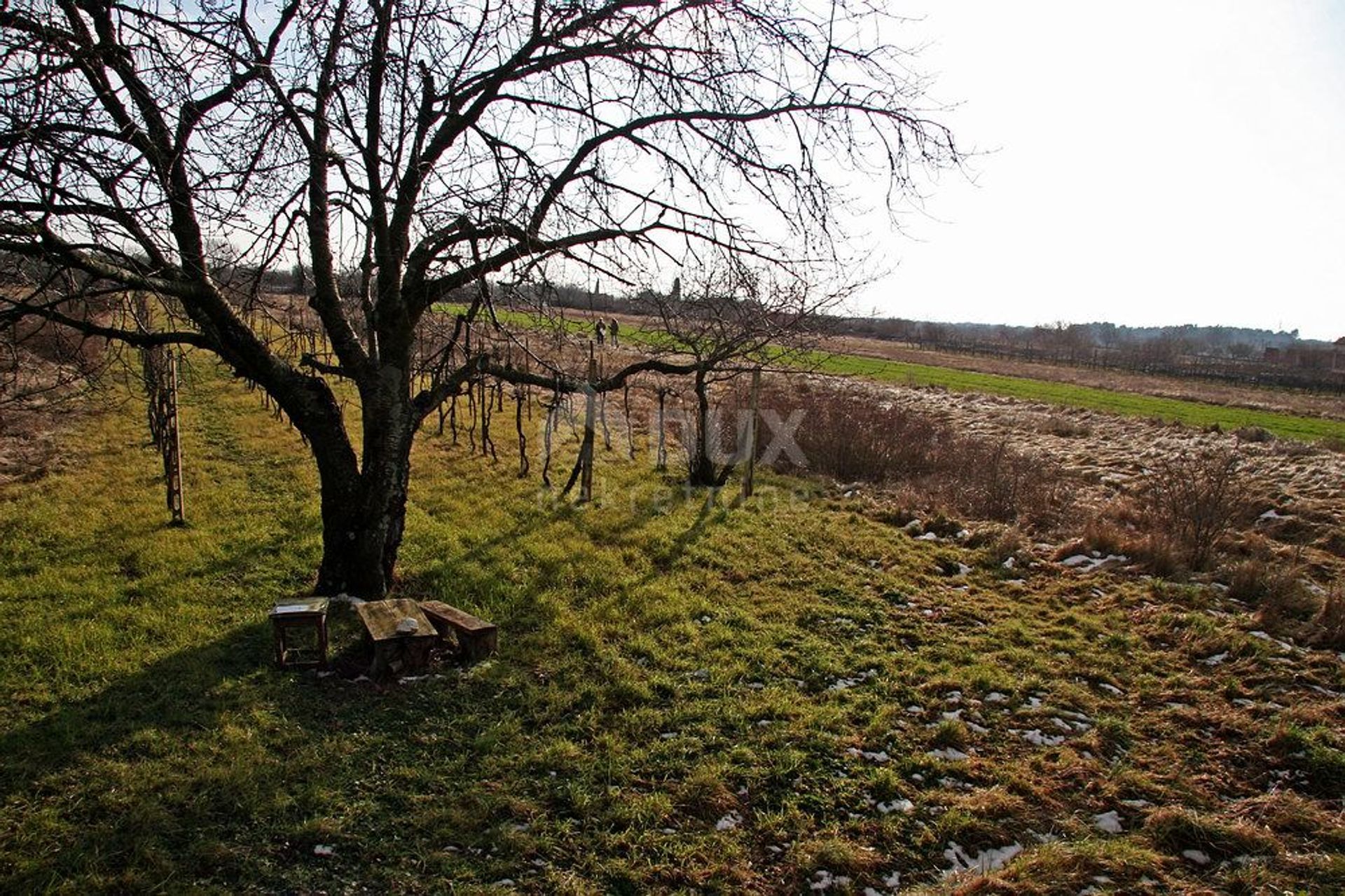 Jord i Vodnjan, Istarska Zupanija 12204491