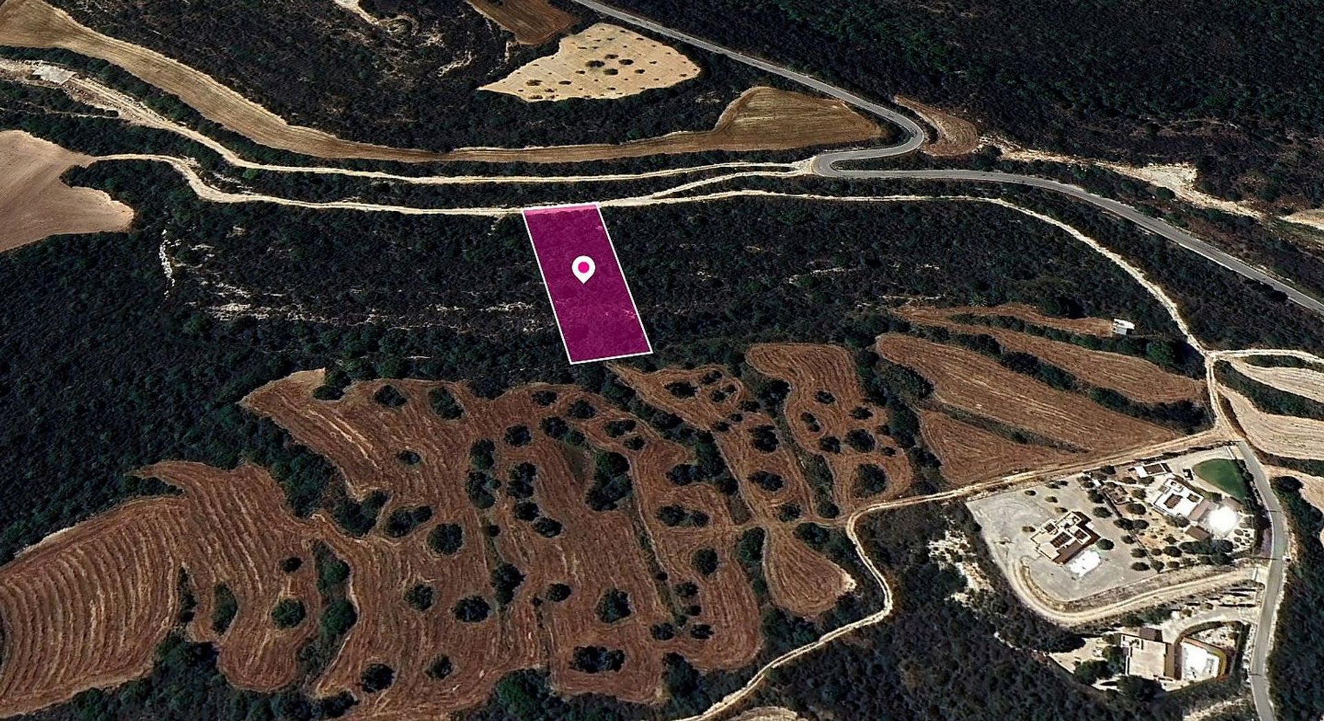 Tanah dalam Polis, Pafos 12204936