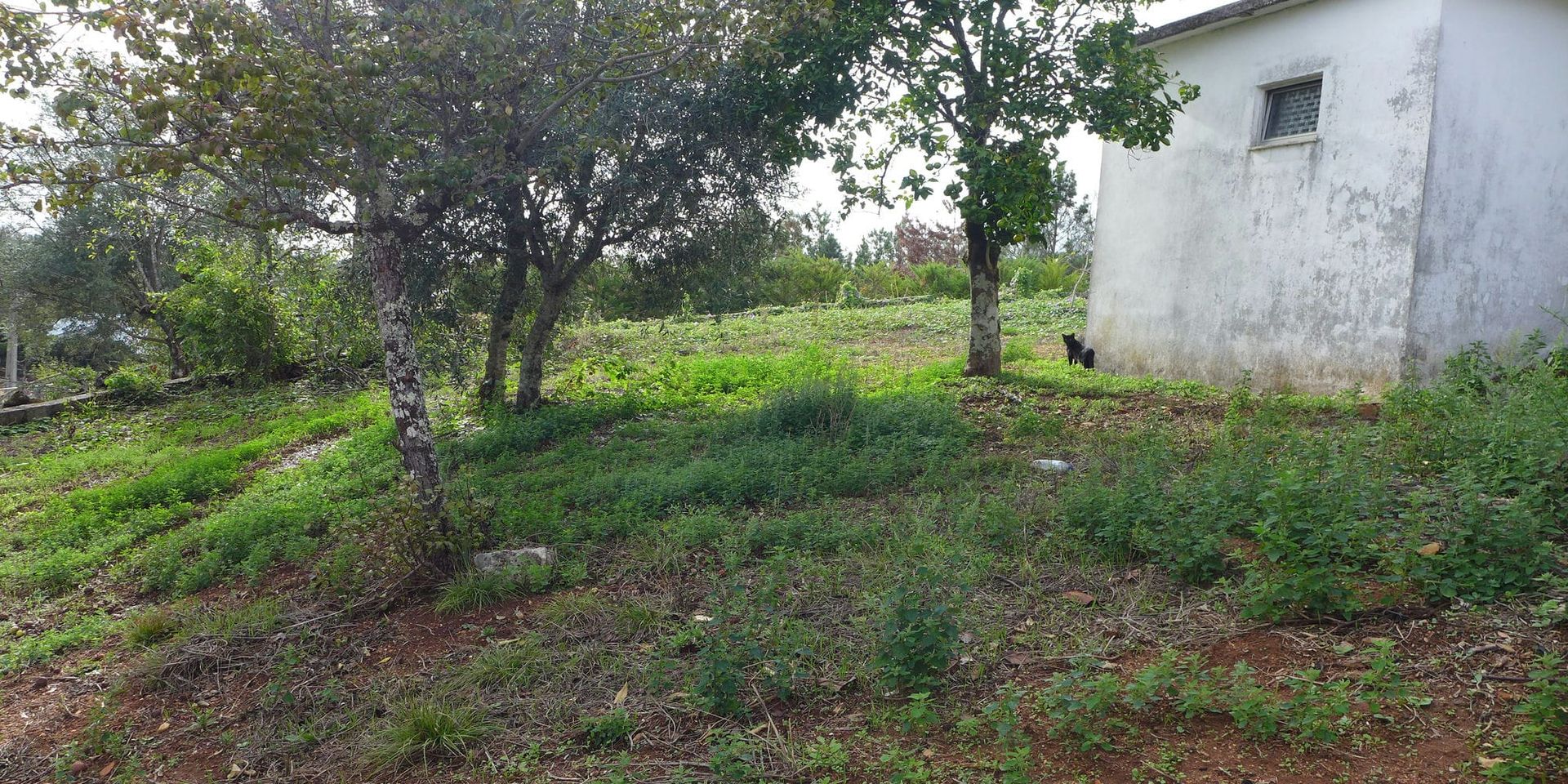 House in Ansião, Leiria District 12205771