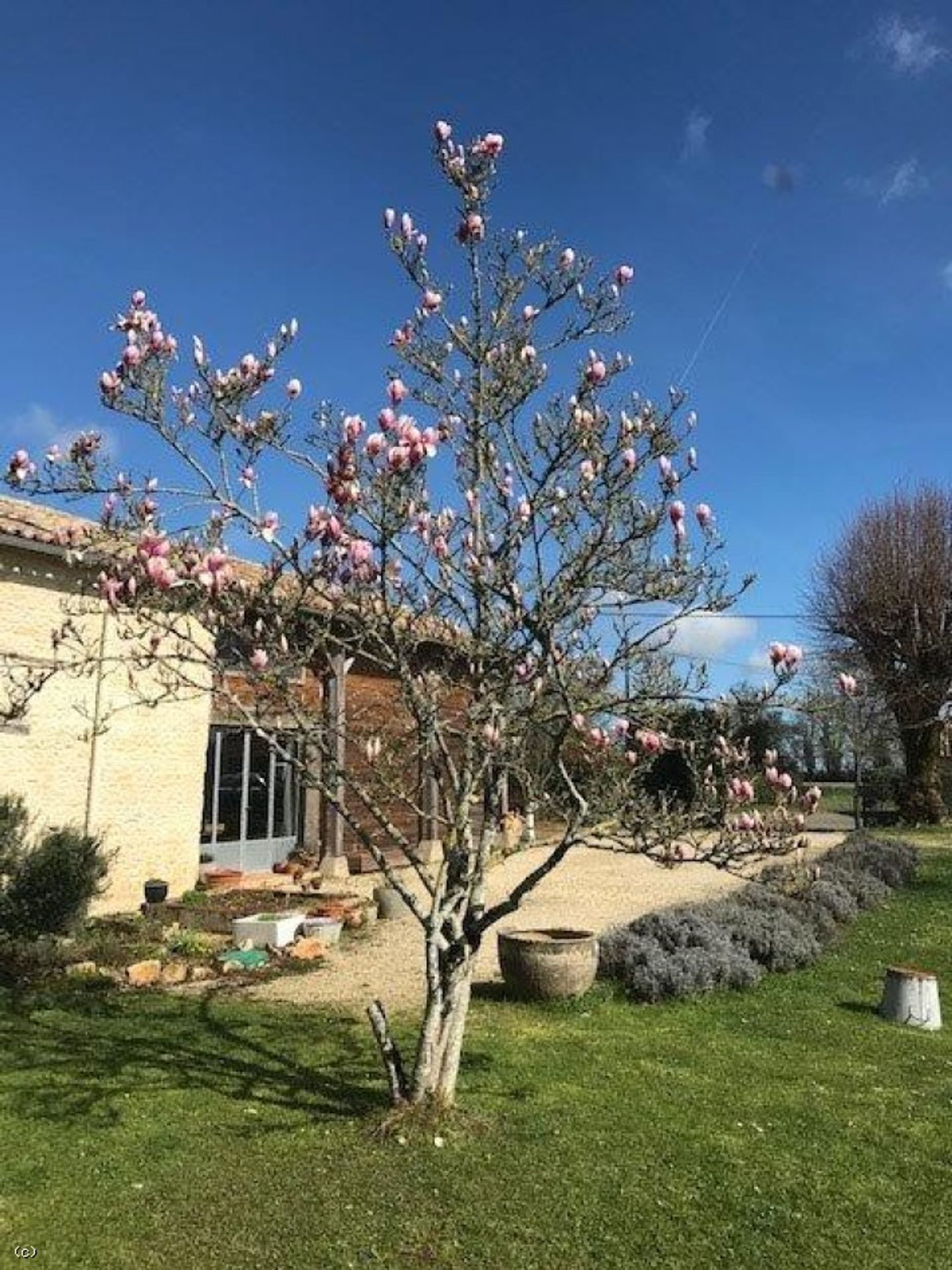 loger dans Sauzé-Vaussais, Nouvelle-Aquitaine 12205799