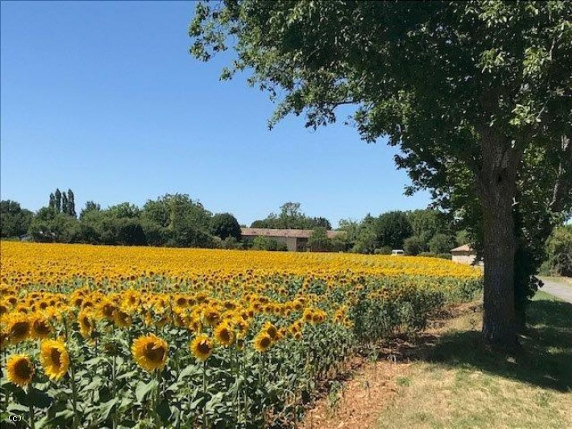 loger dans Sauze-Vaussais, Nouvelle-Aquitaine 12205799