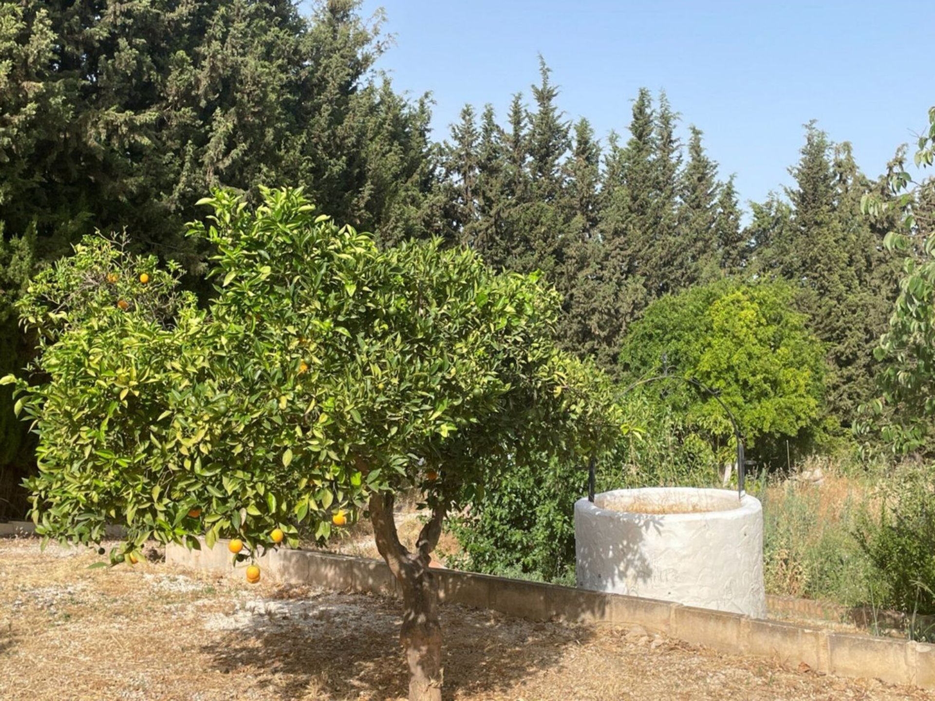 房子 在 Alhaurín de la Torre, Andalusia 12220763