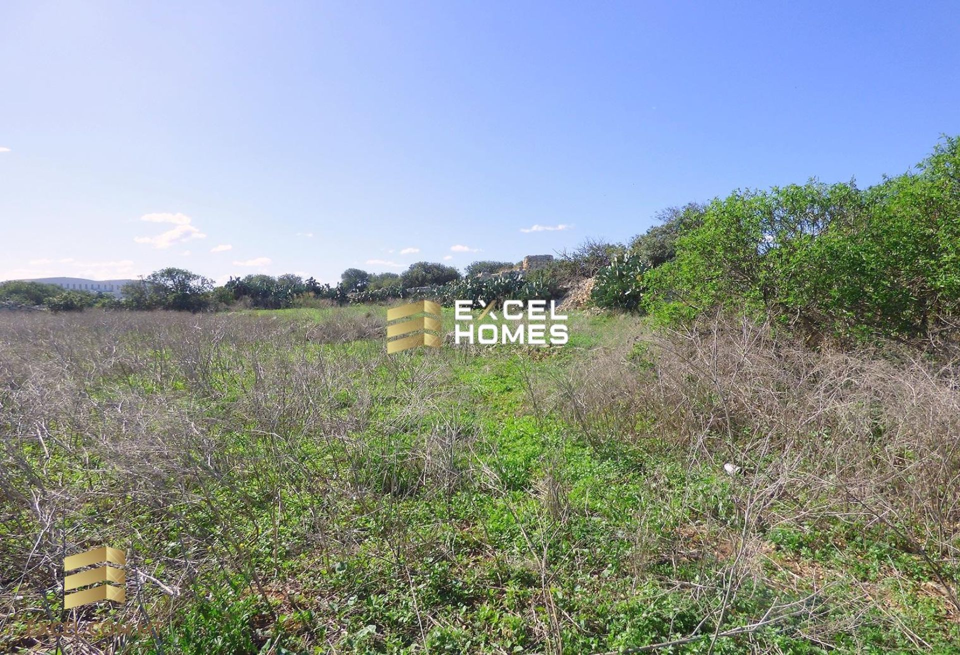 Land in Qormi, Qormi 12222422