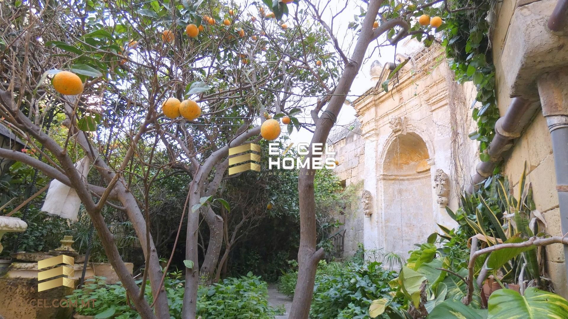 Rumah di Qormi, Qormi 12226845