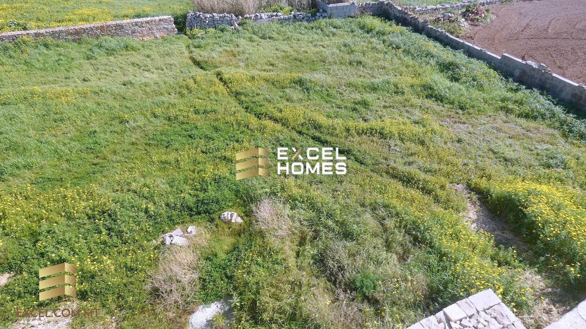 Rumah di Zurrieq, Zurrieq 12226898