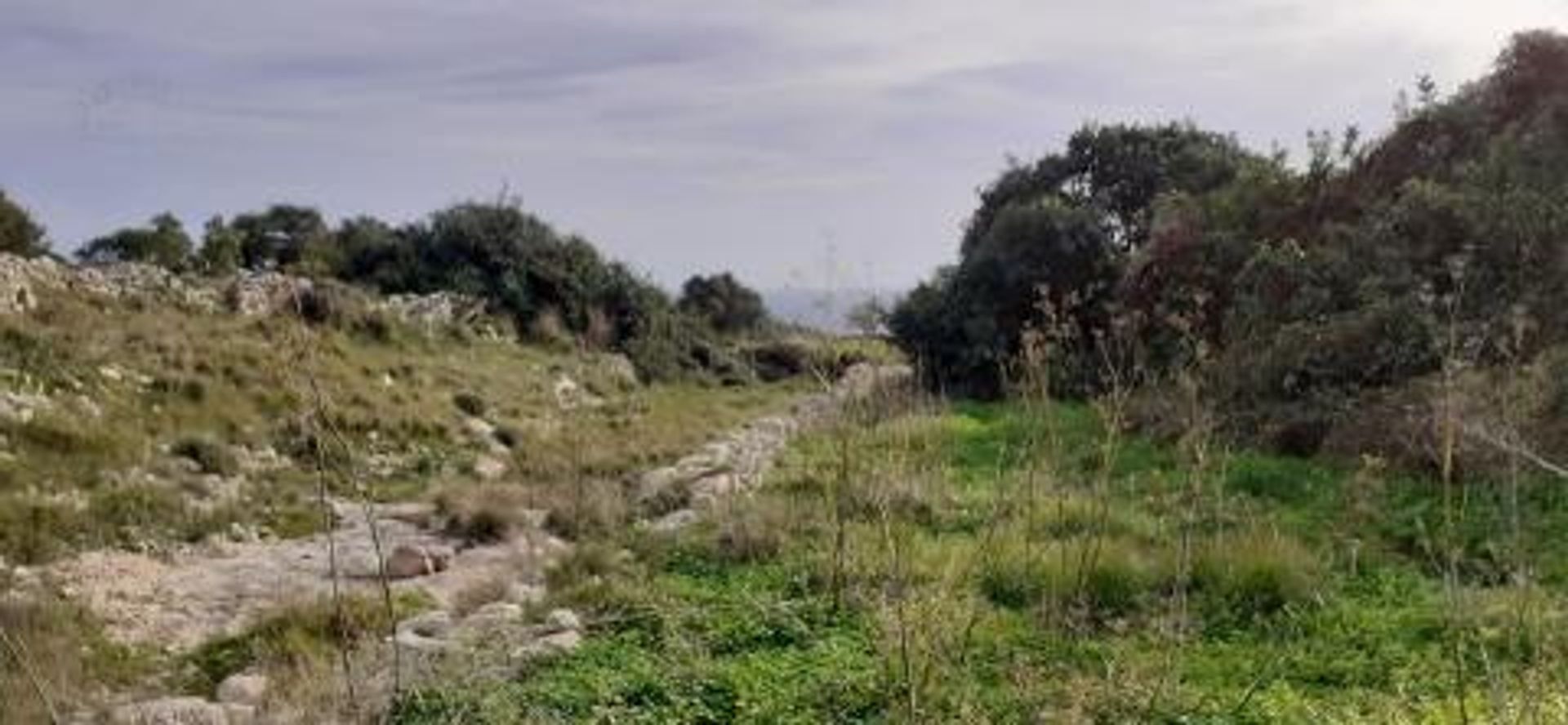 Land in Qrendi, Qrendi 12229008