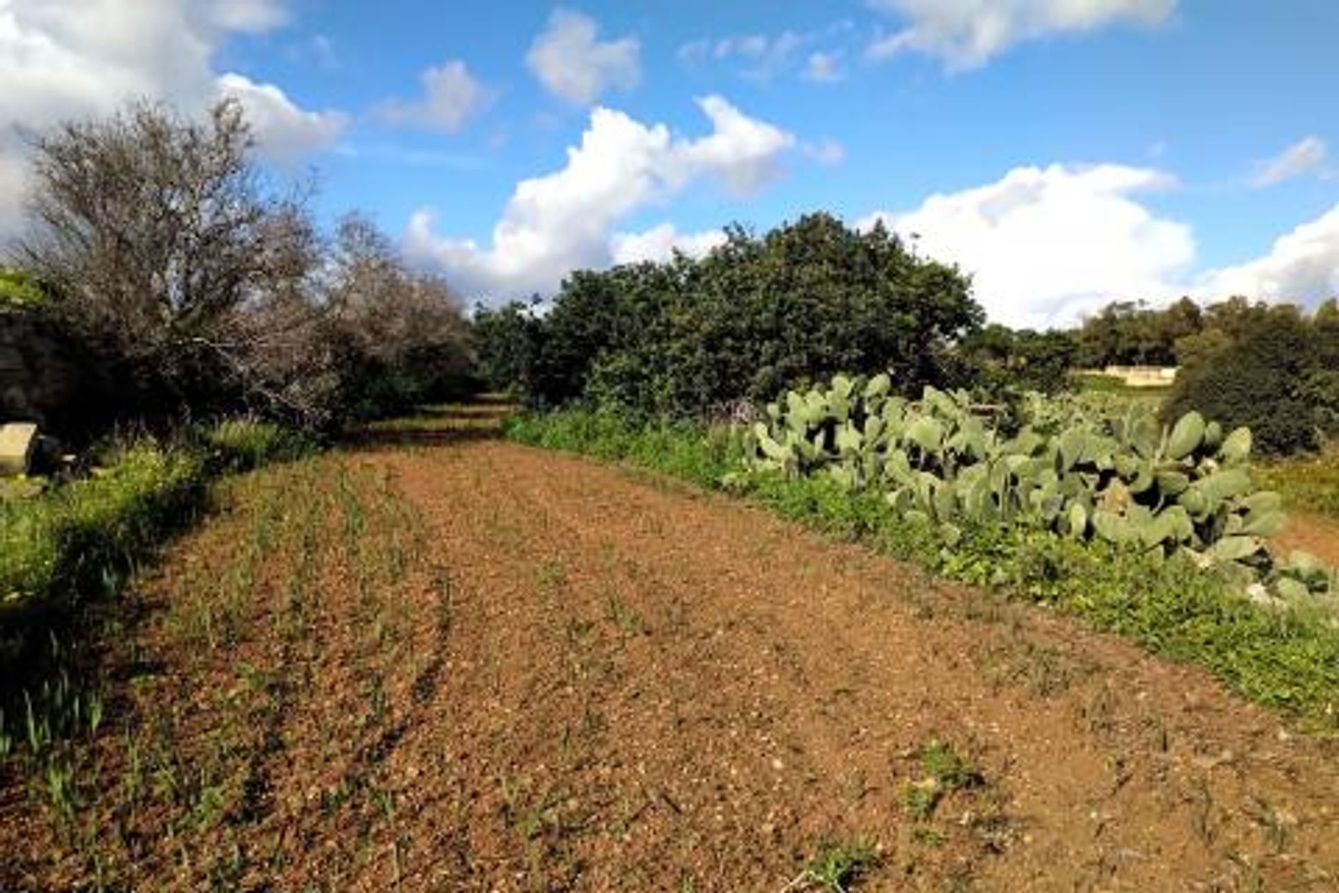 房子 在 Birżebbuġa,  12229516