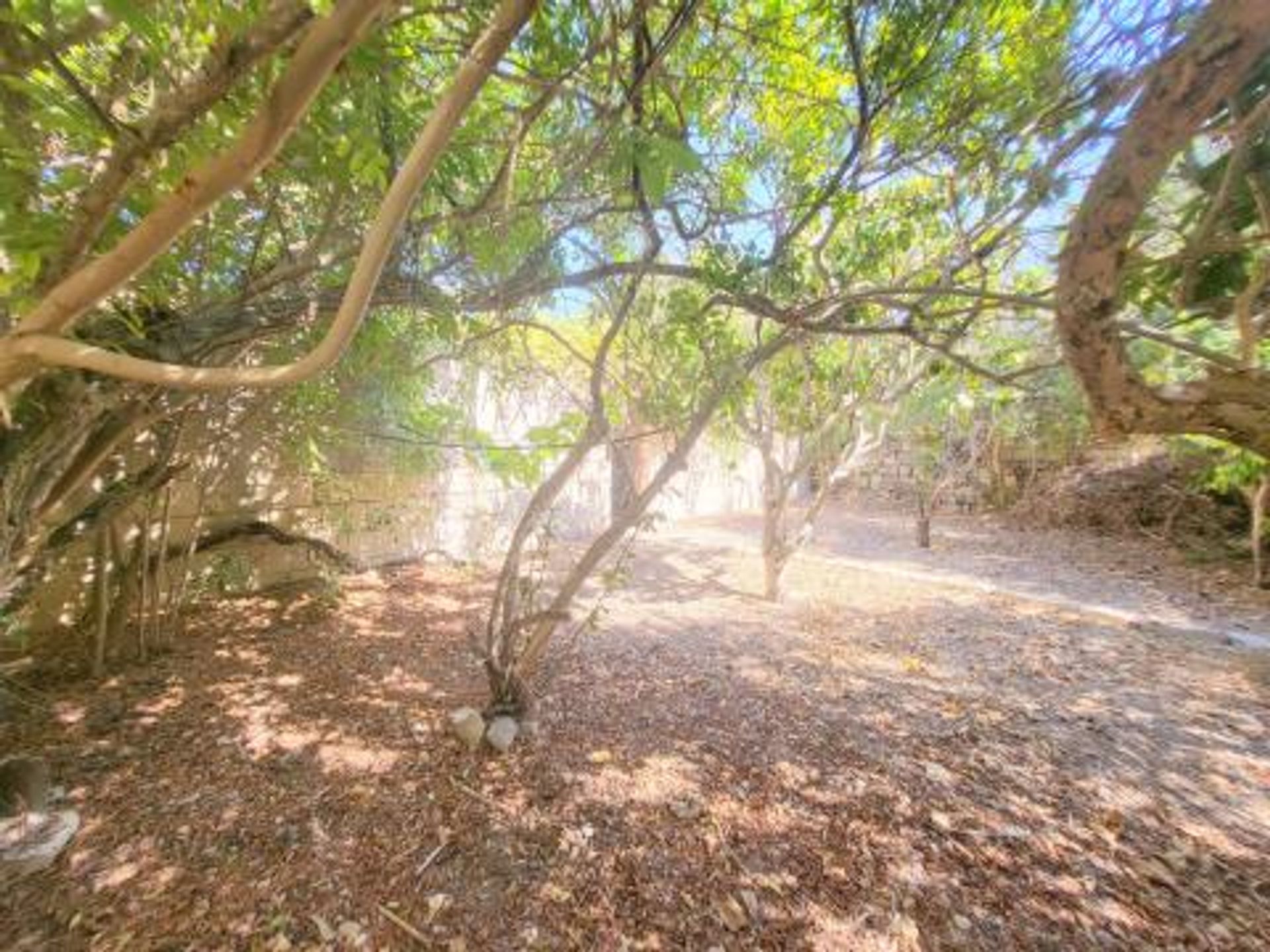 Mehrere Eigentumswohnungen im Rabat,  12232988