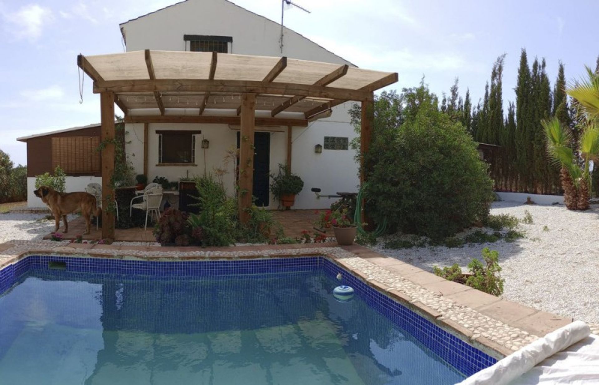 Hus i Estepona, Andalusia 12236768