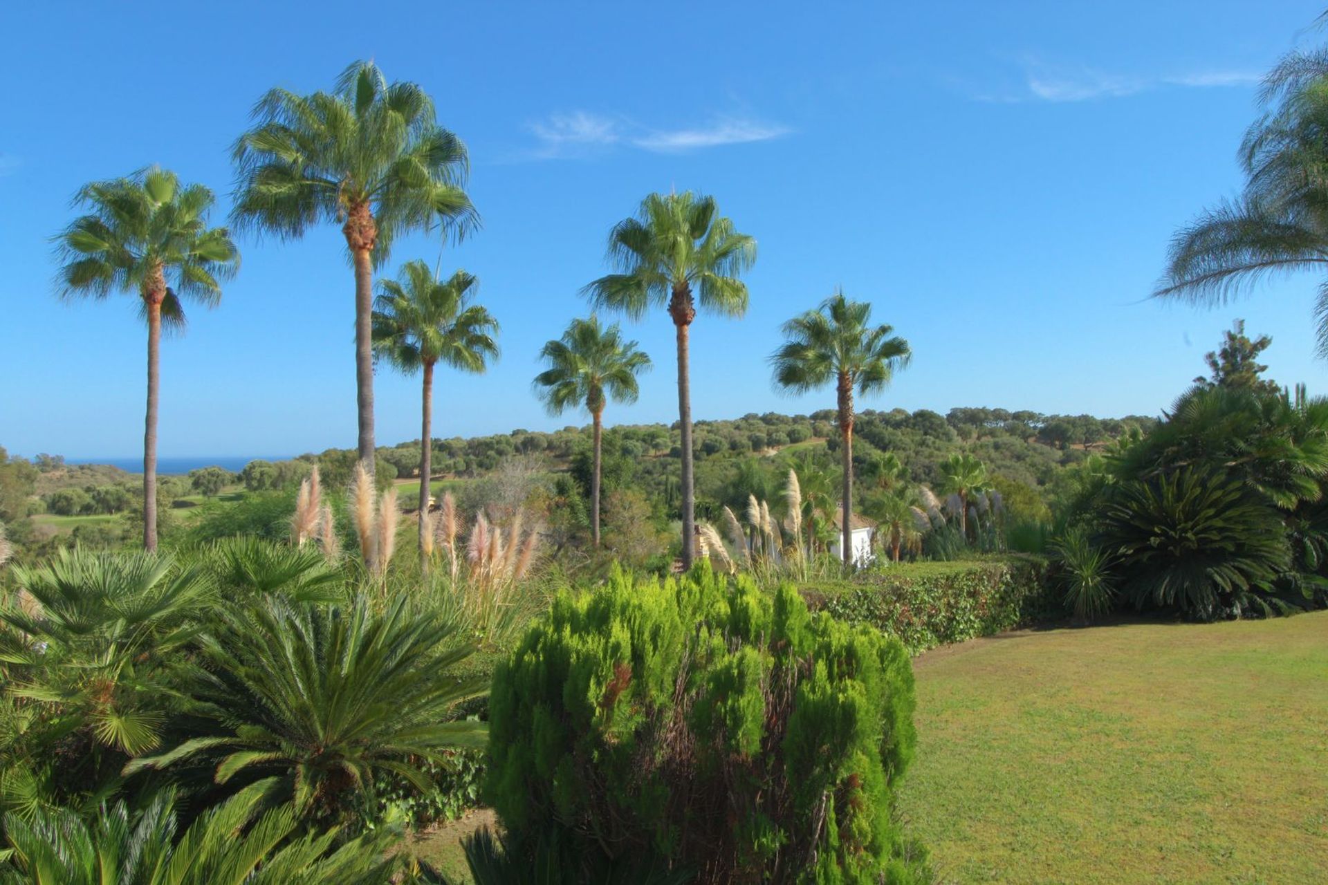 Talo sisään Sotogrande, Andalusia 12237327