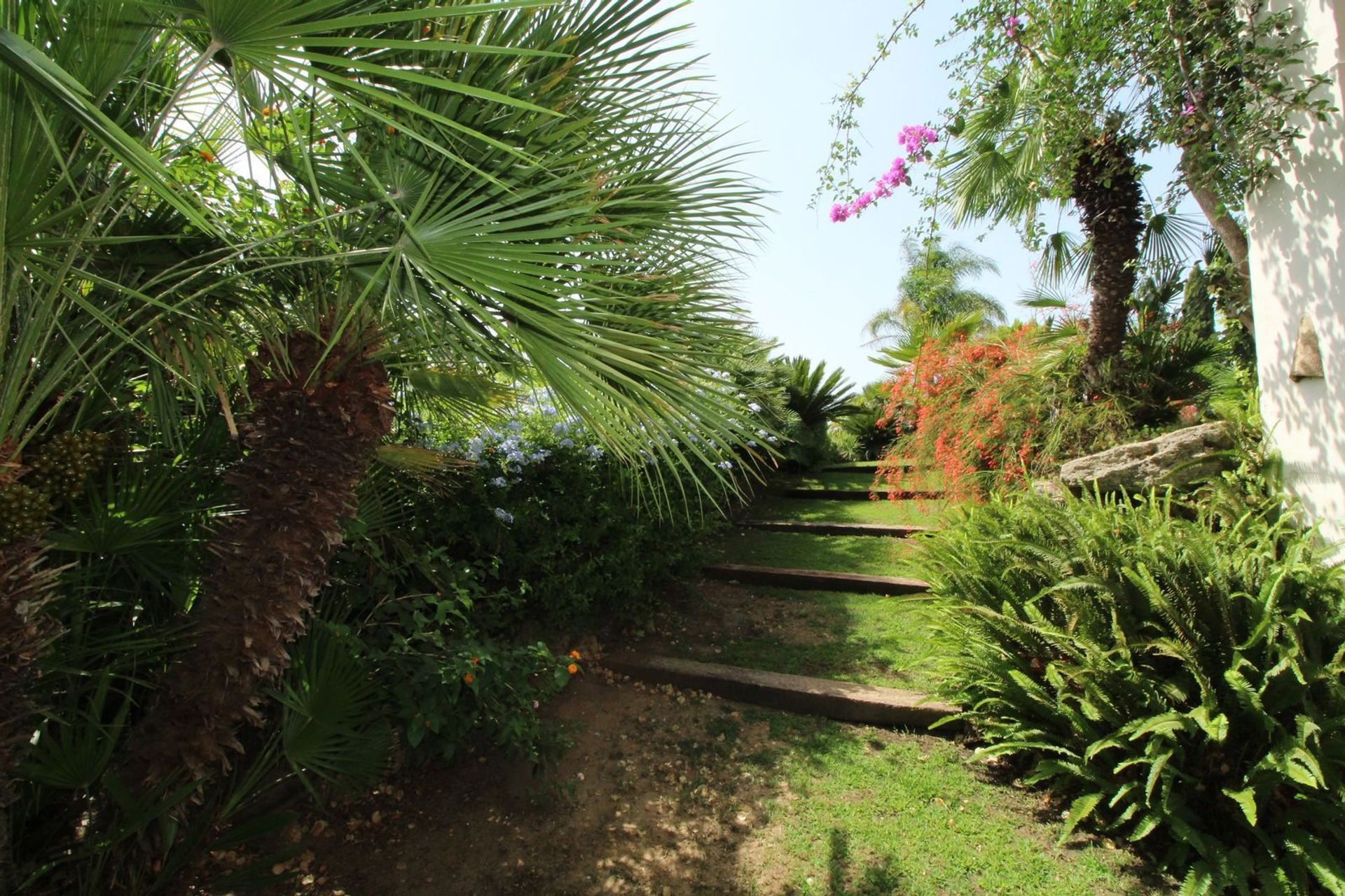 Talo sisään Sotogrande, Andalusia 12237327