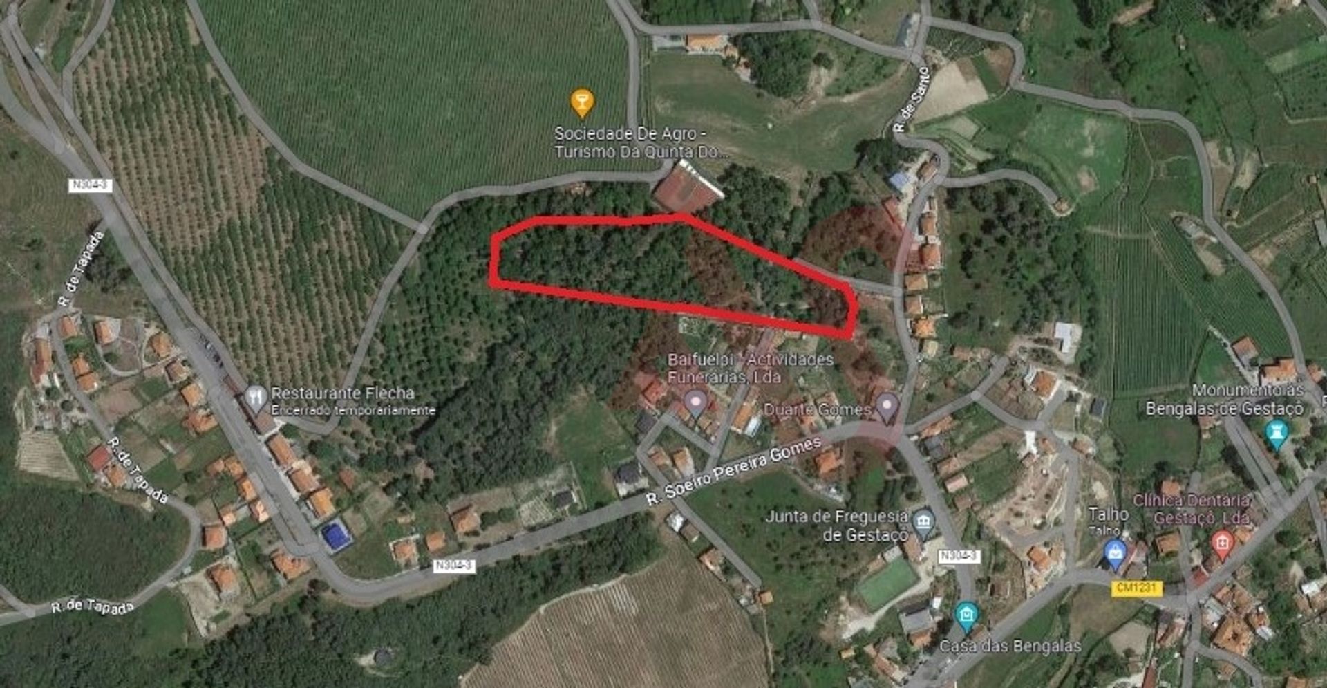 Land in Prado, Porto 12237398