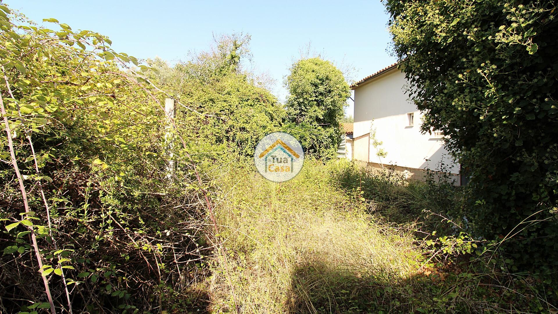 House in Soure, Coimbra District 12238886