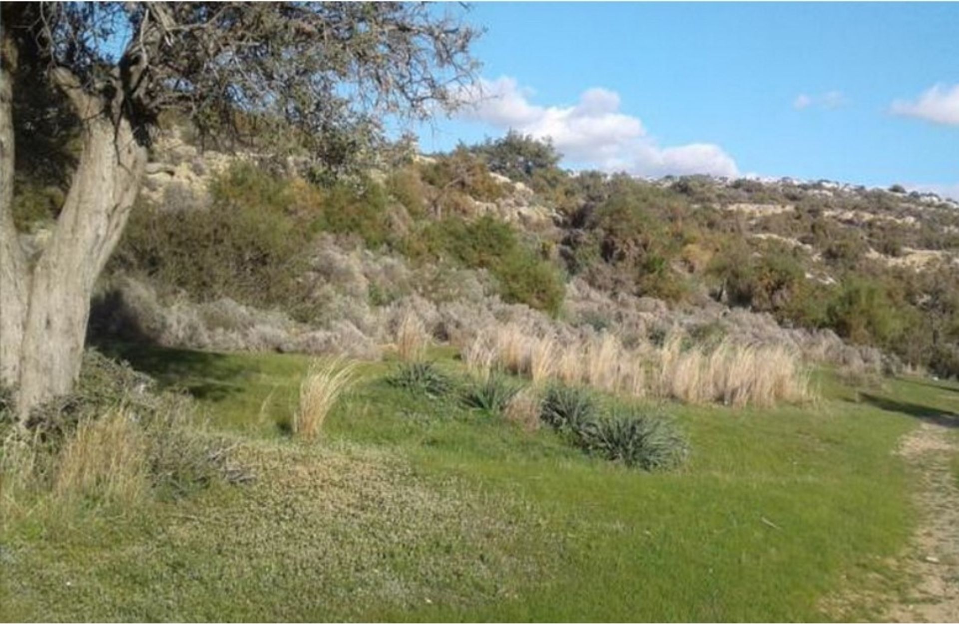 Land in Pissouri, Limassol 12239153