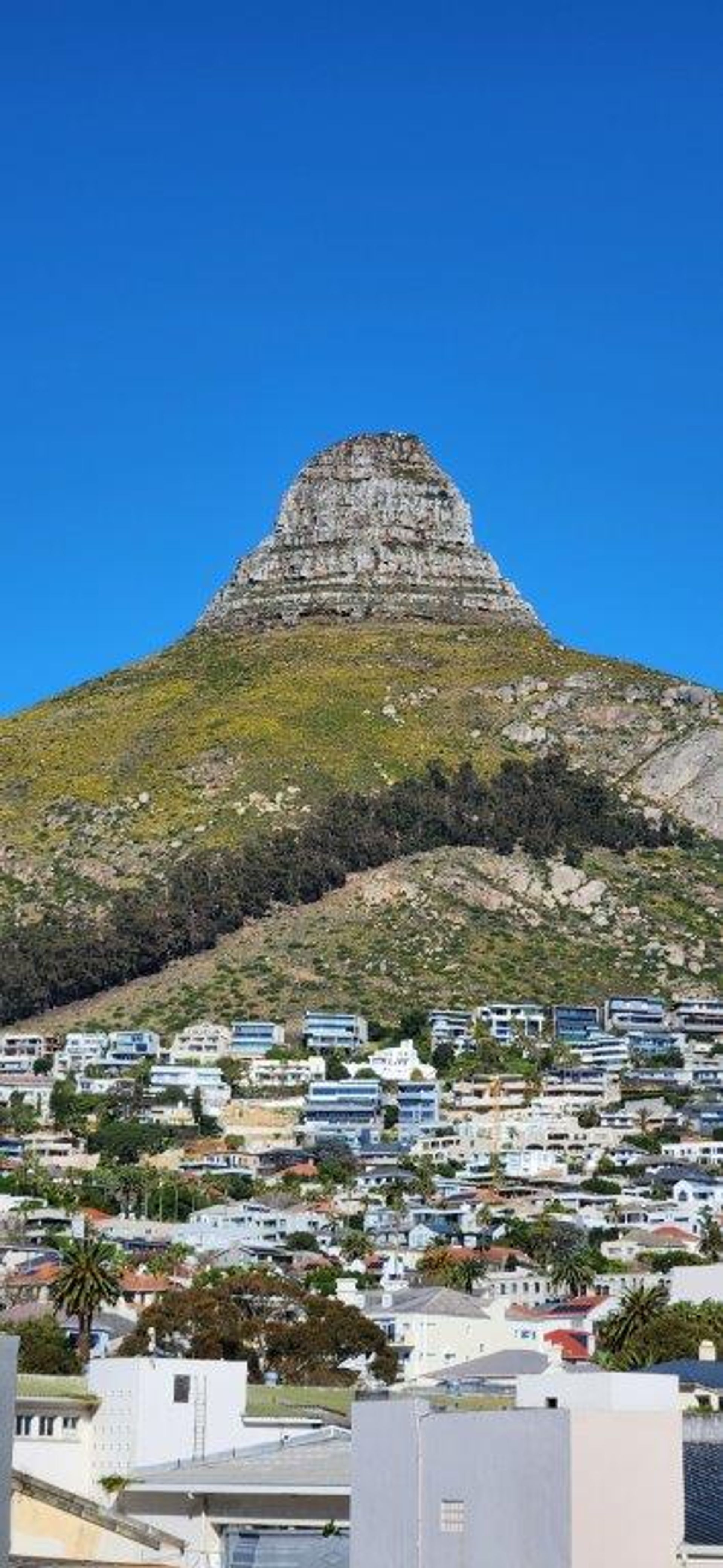 Kondominium dalam Cape Town, Western Cape 12239834