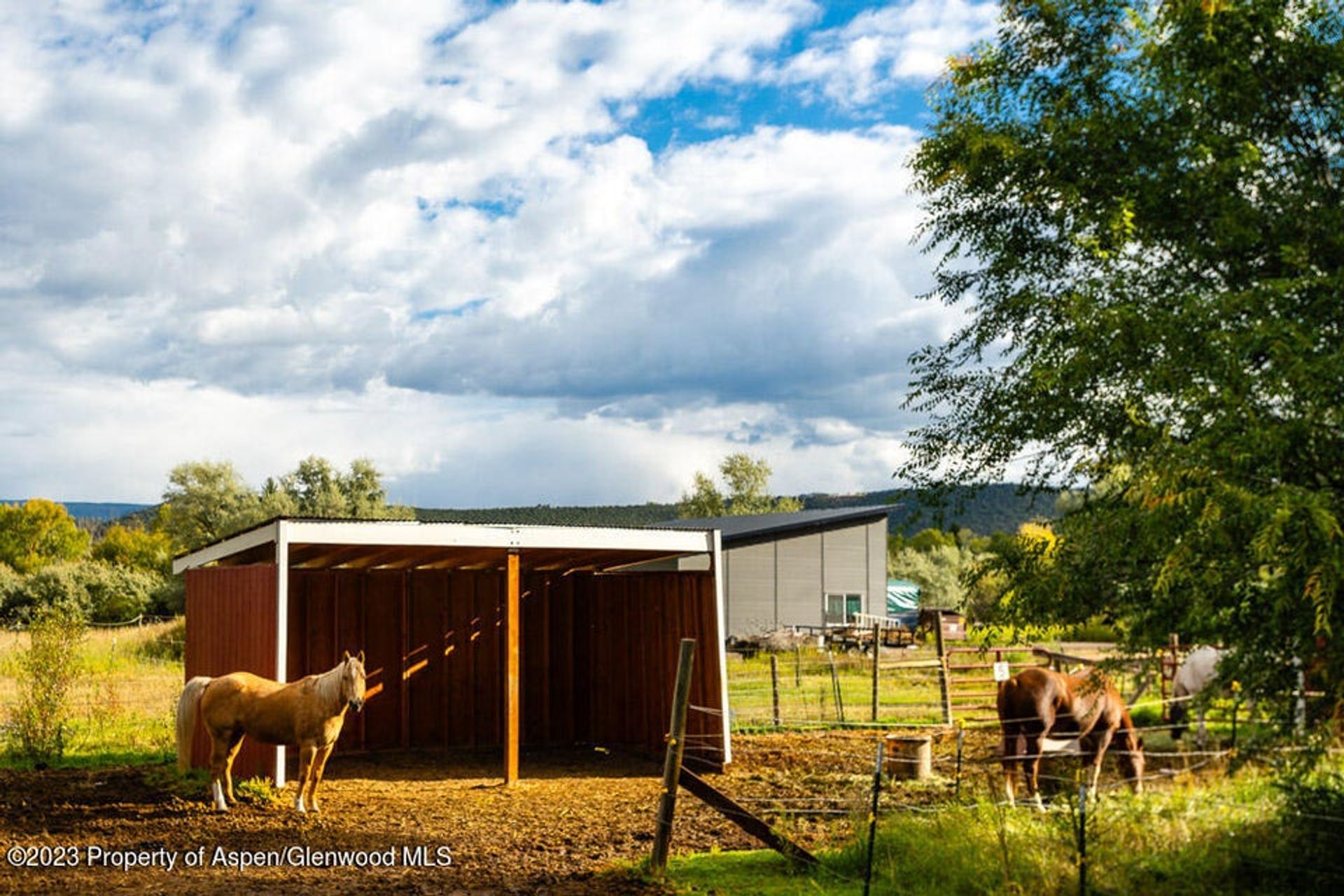 Hus i Carbondale, Colorado 12240532