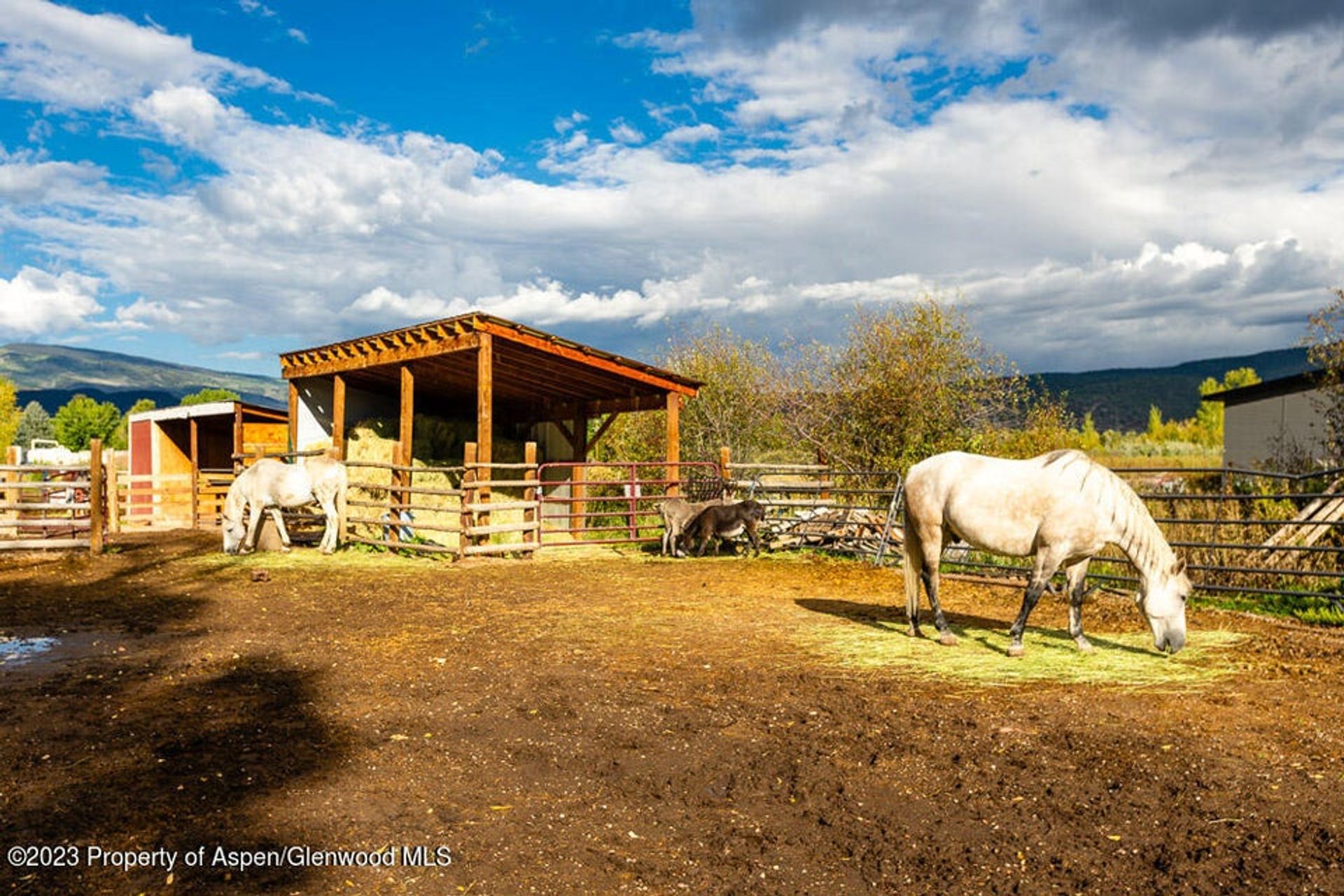 Hus i Carbondale, Colorado 12240532