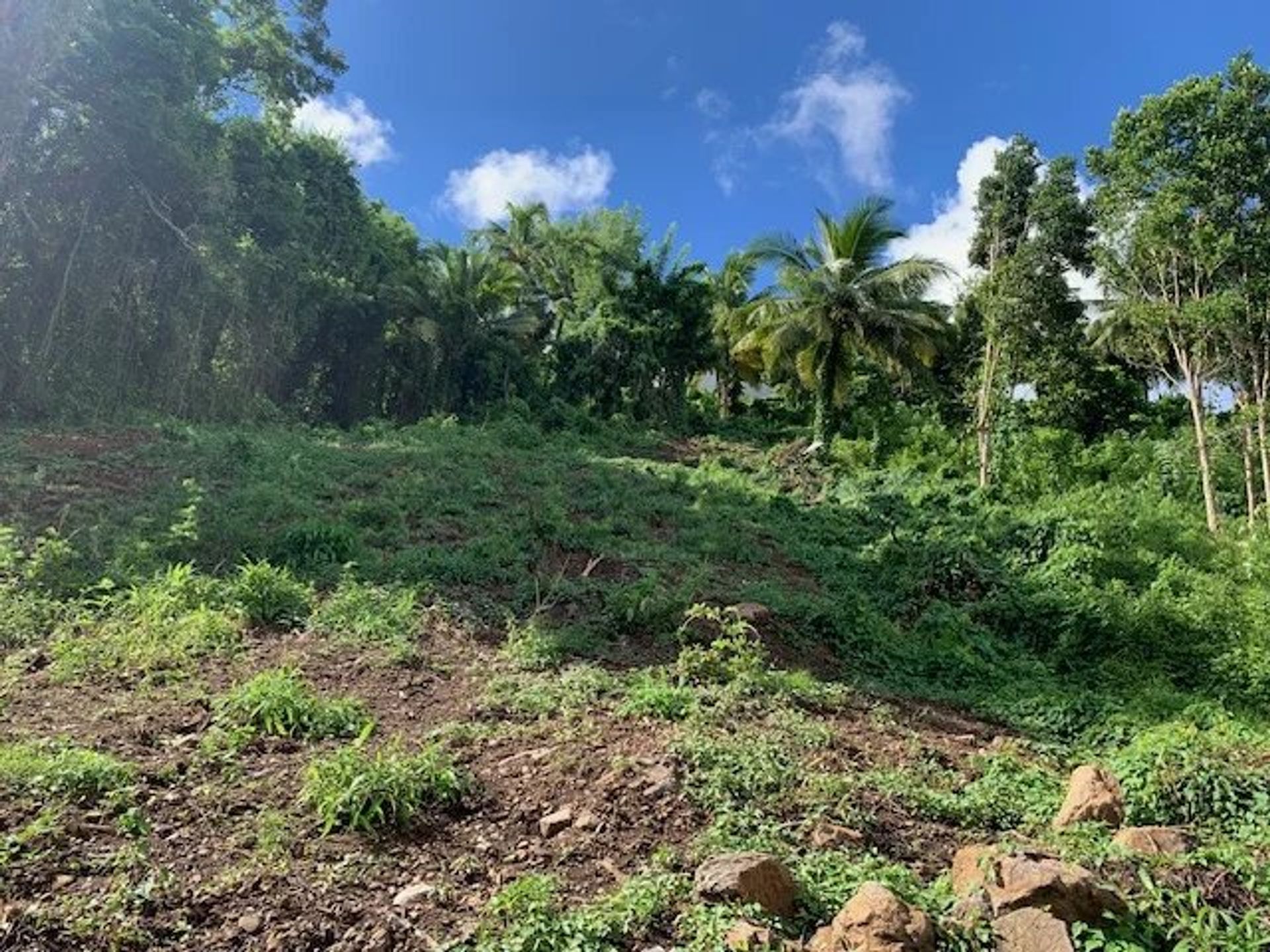 Land im Rivière-Salée, Martinique 12241161