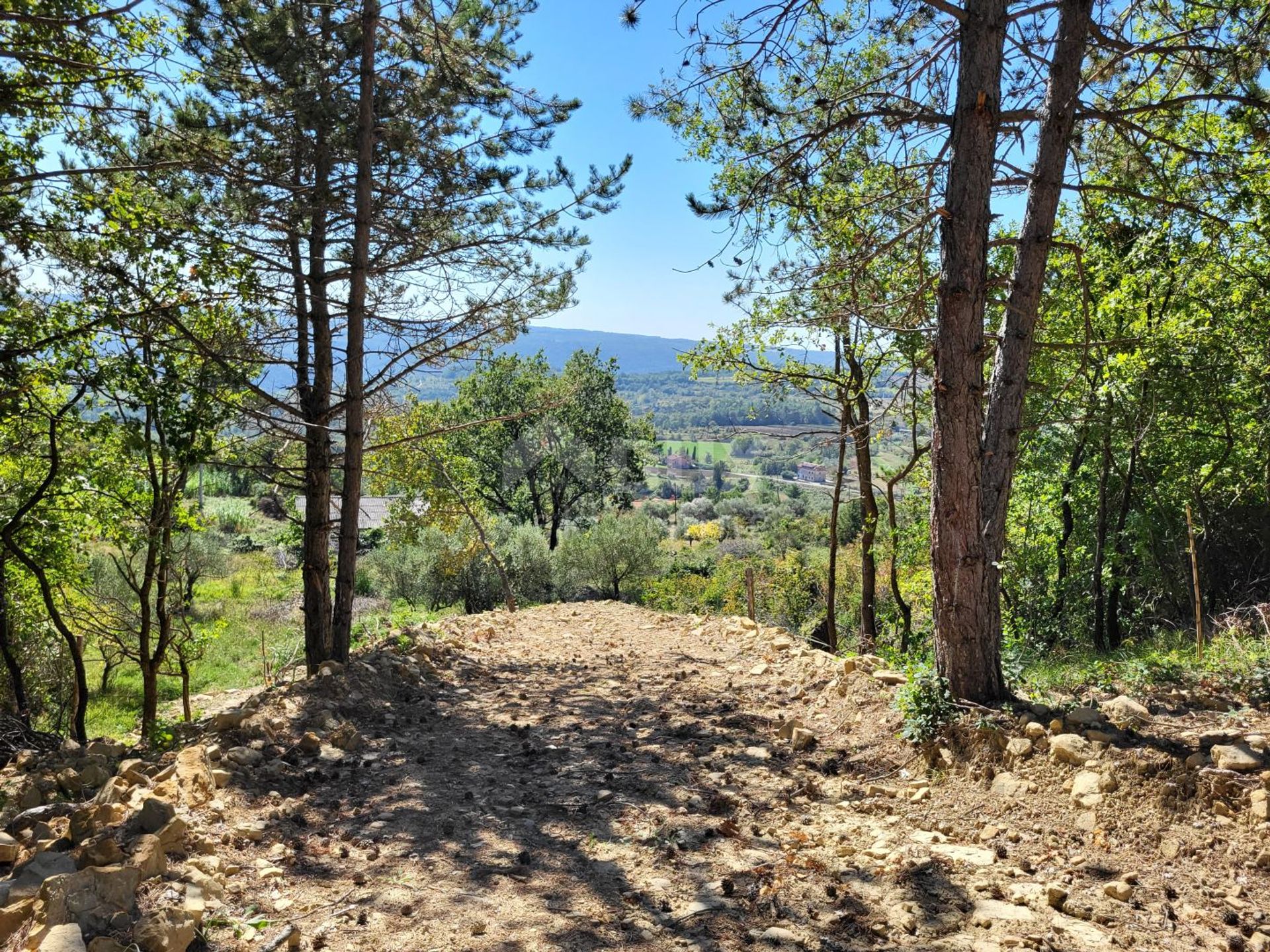 Tierra en Groznjan, Istarska Županija 12241695