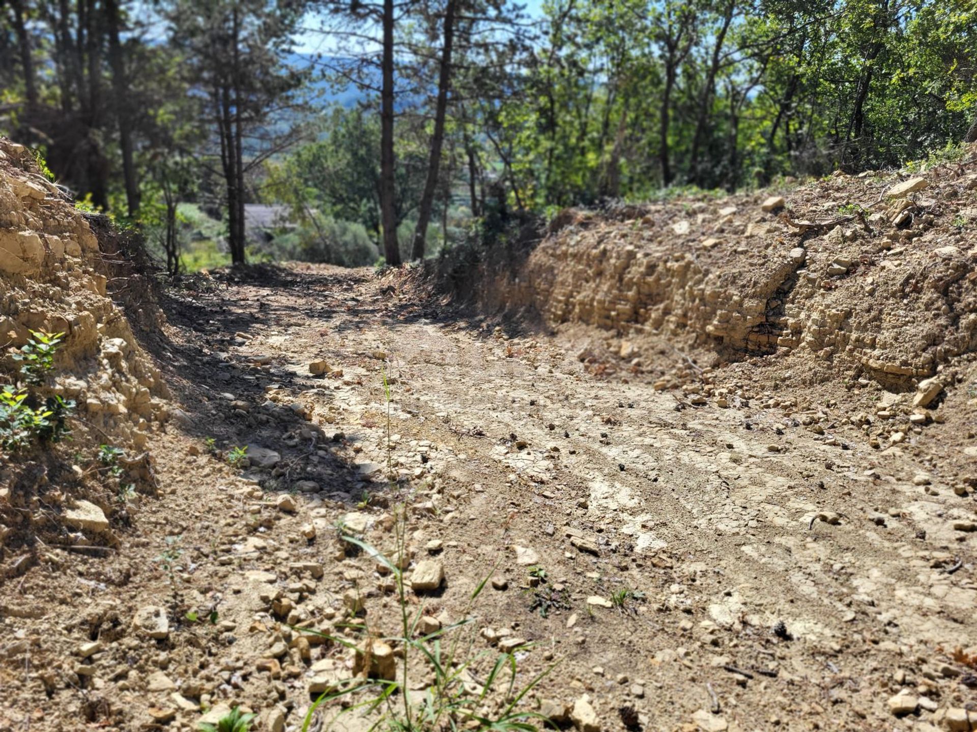 Tierra en Groznjan, Istarska Županija 12241695