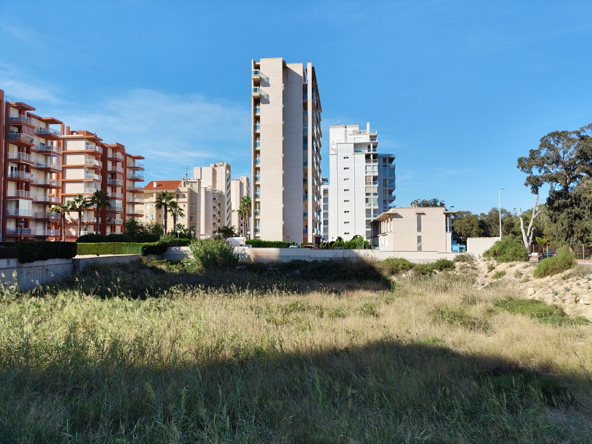 Jord i Guardamar del Segura, Valencia 12241782