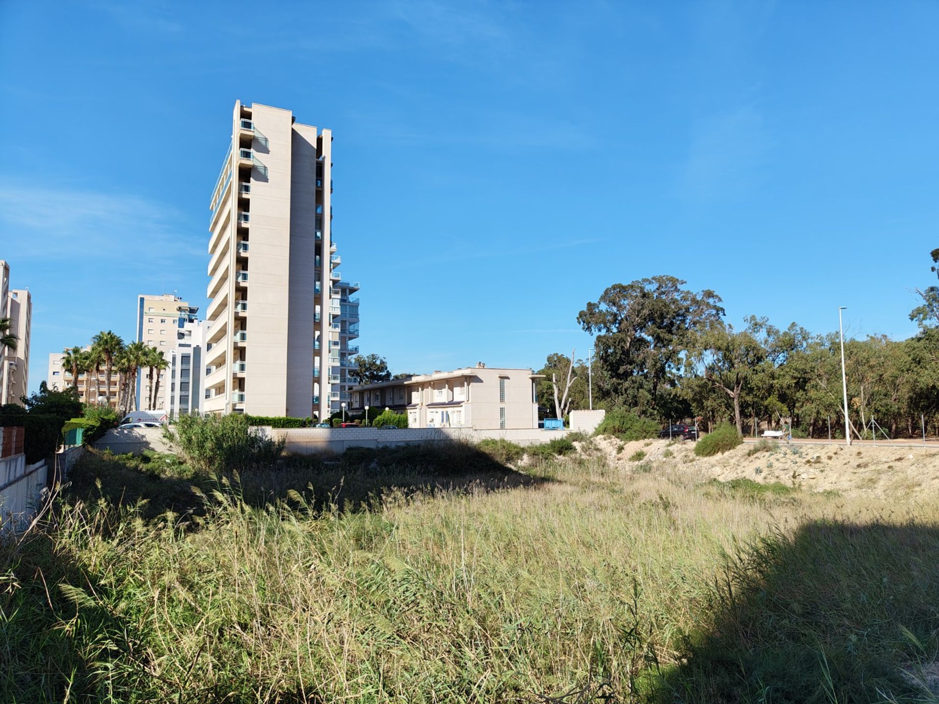 Land im Guardamar del Segura, Valencia 12241782