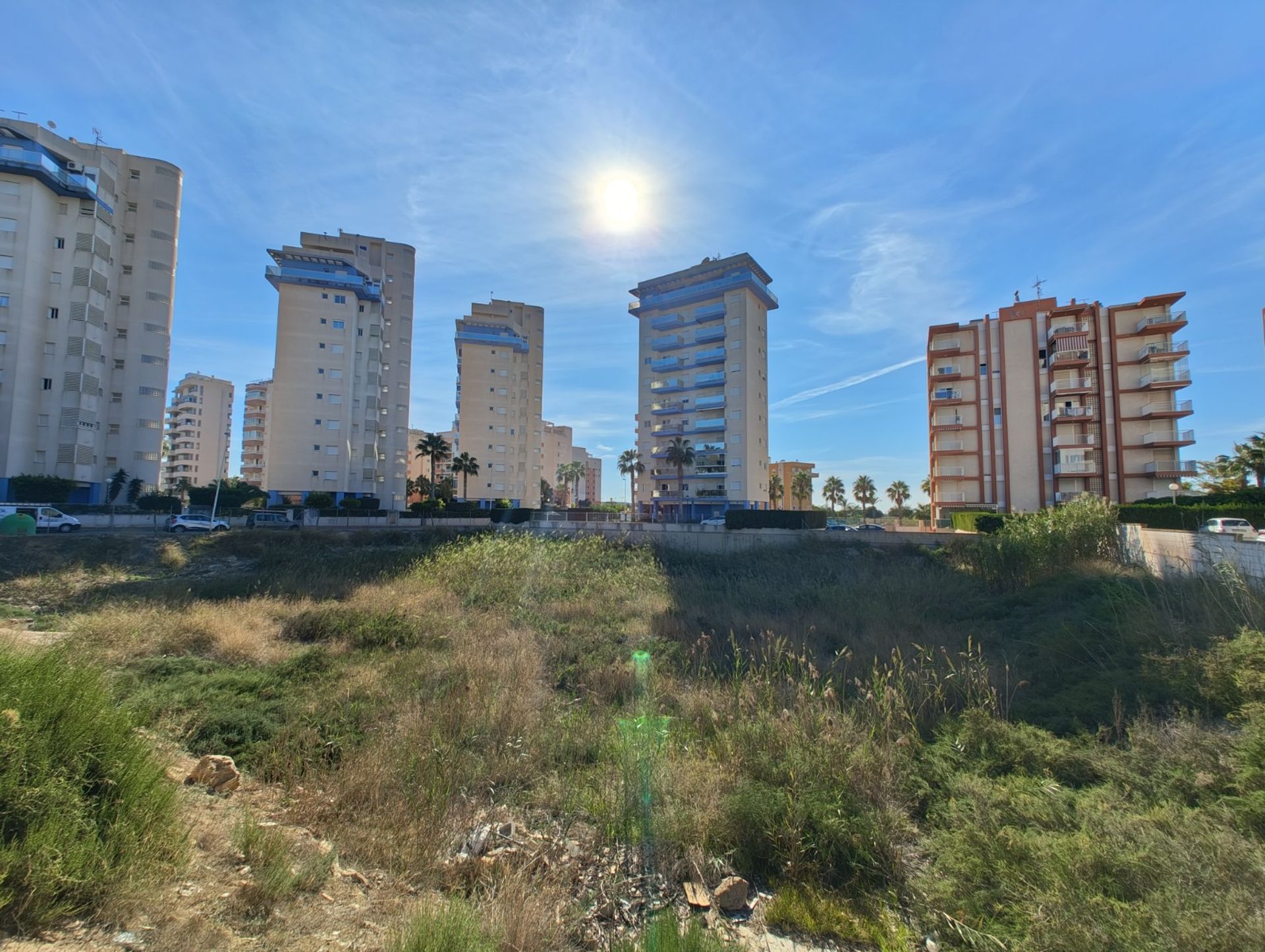 Земля в Guardamar del Segura, Valencia 12241782