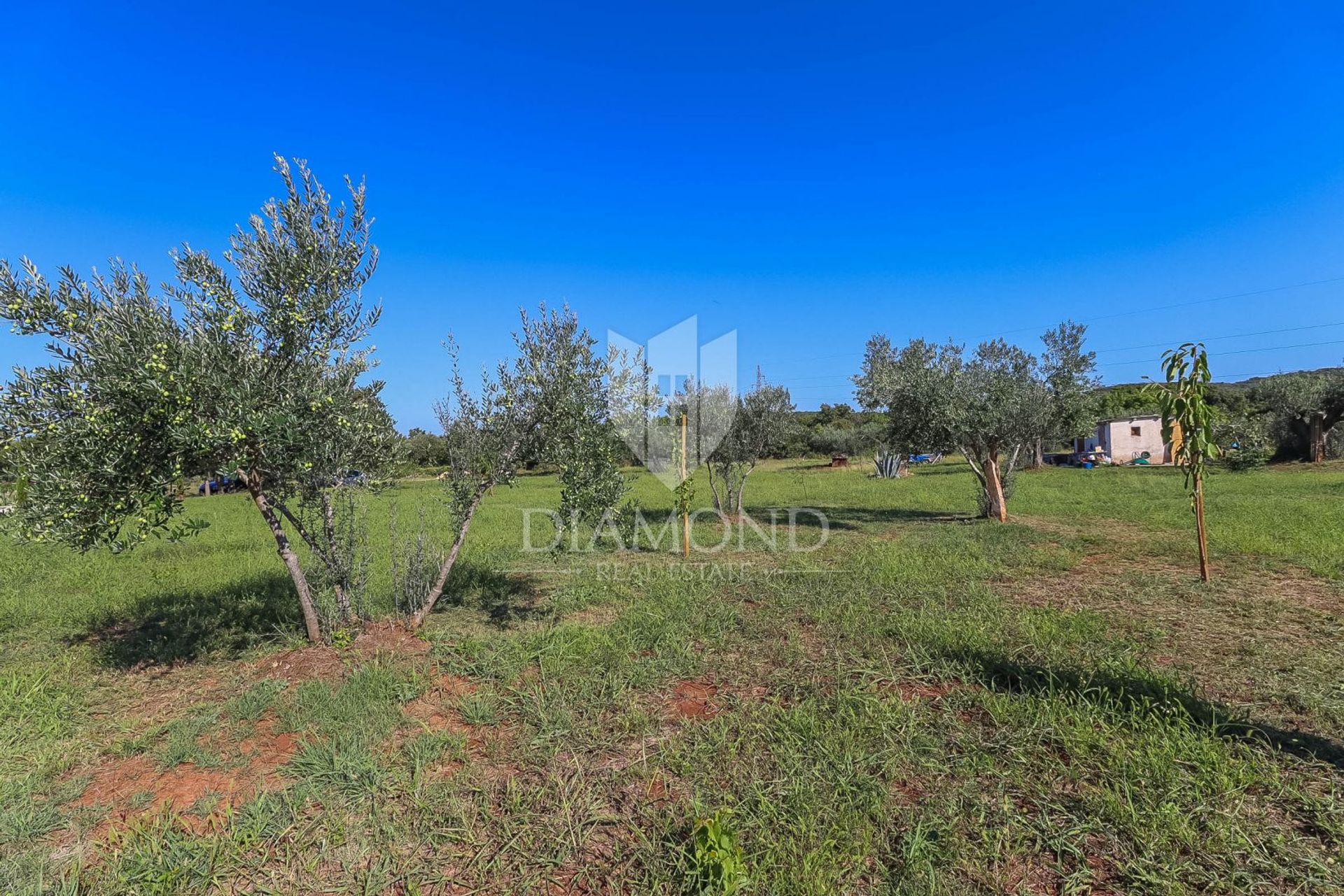 Land in Rovinj, Istria County 12241815