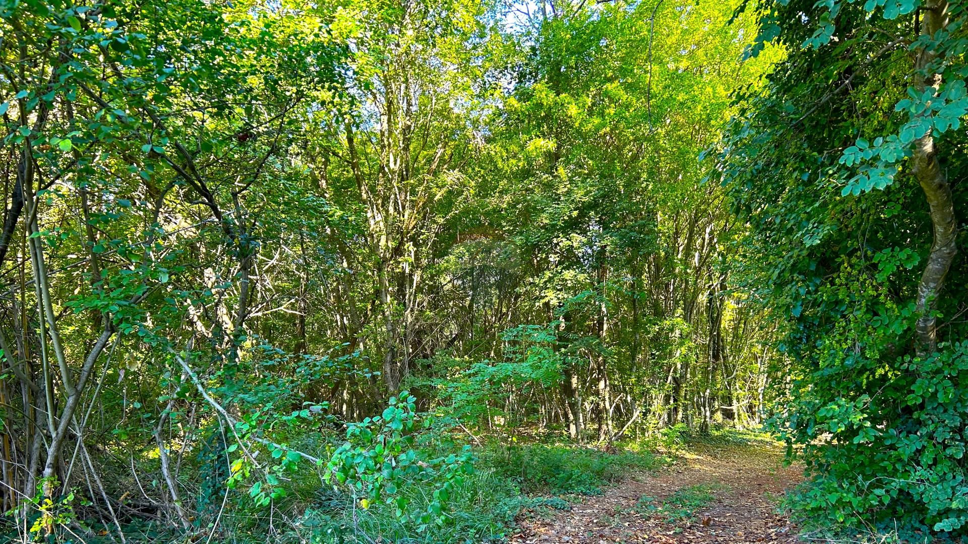 Terre dans Cepljani, Istarska Zupanija 12242301