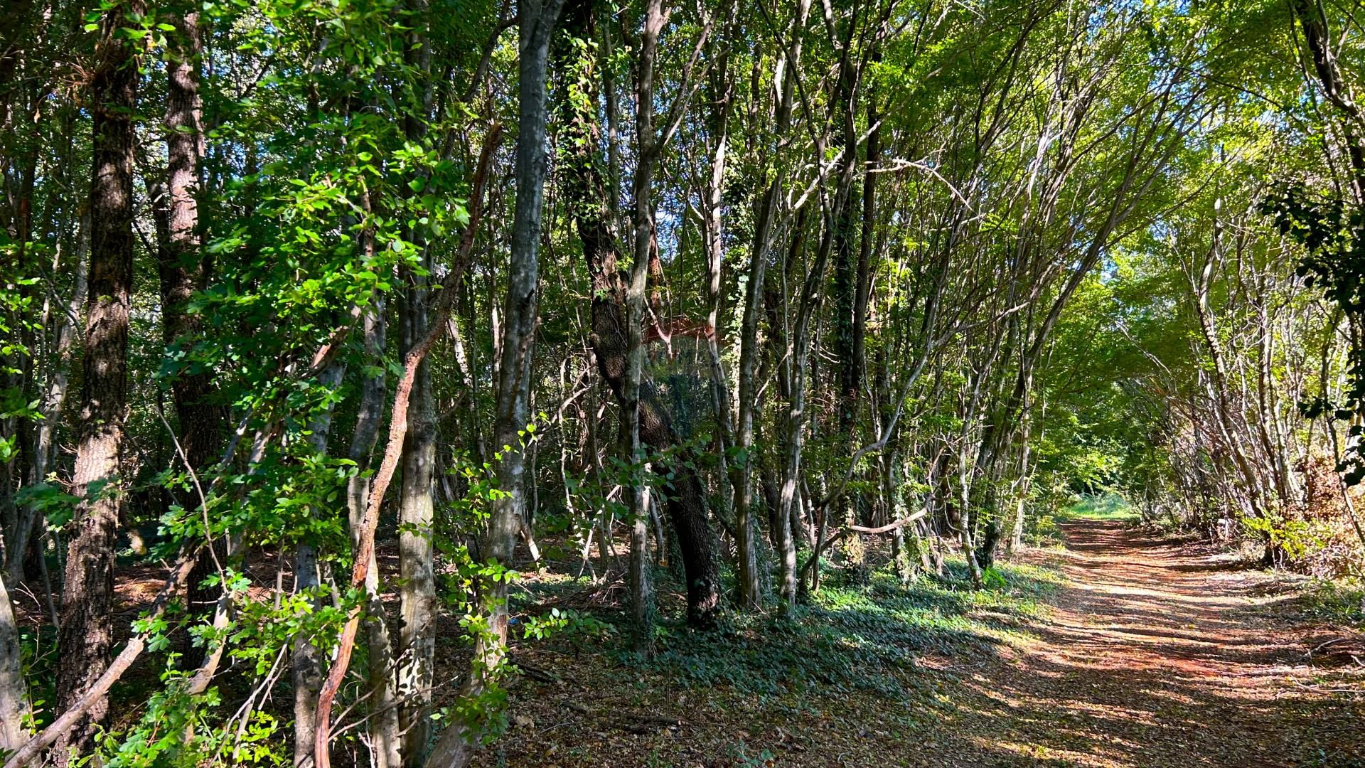 Terre dans Cepljani, Istarska Zupanija 12242301