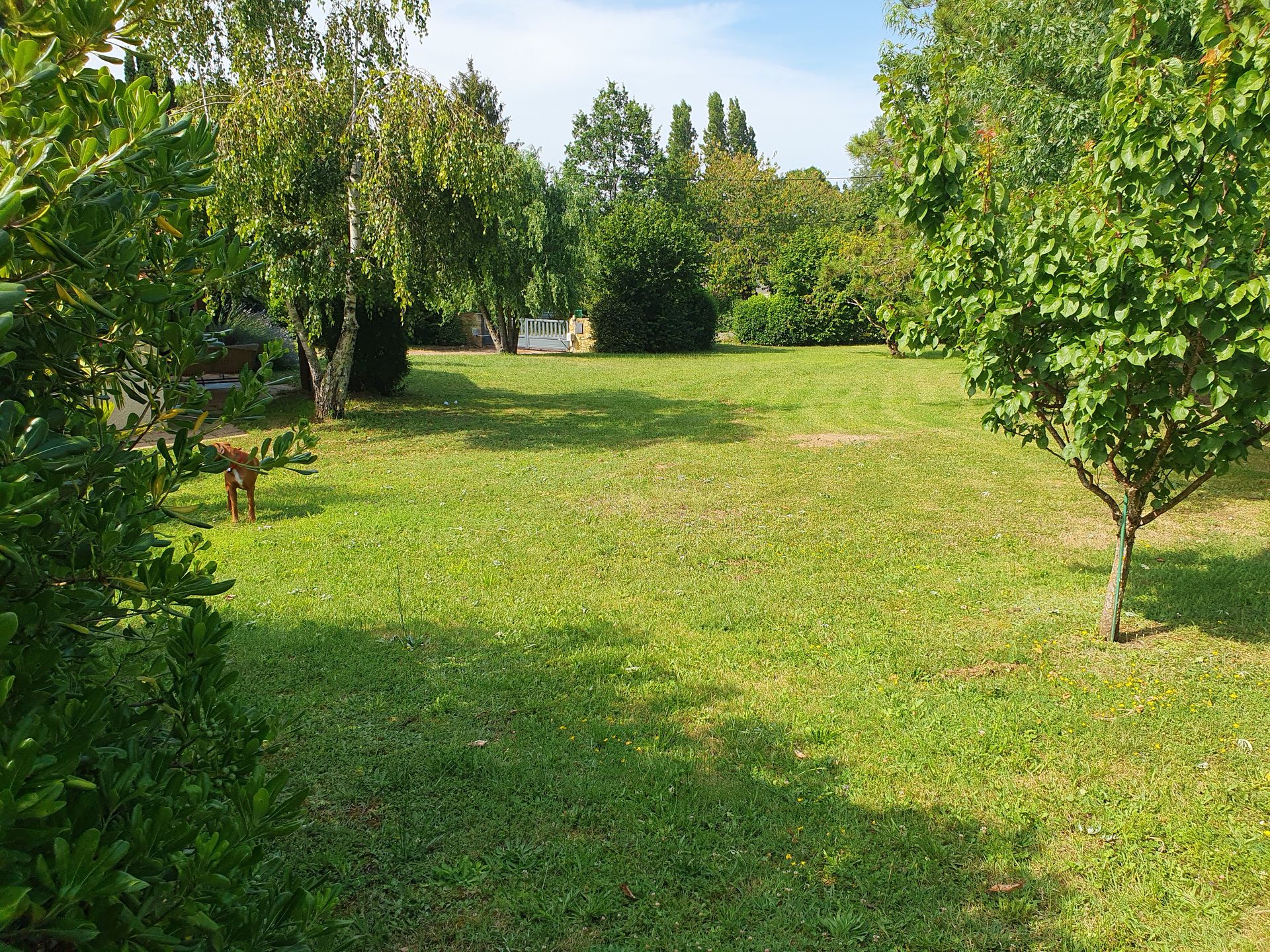 Hus i Bergerac, Nouvelle-Aquitaine 12242851