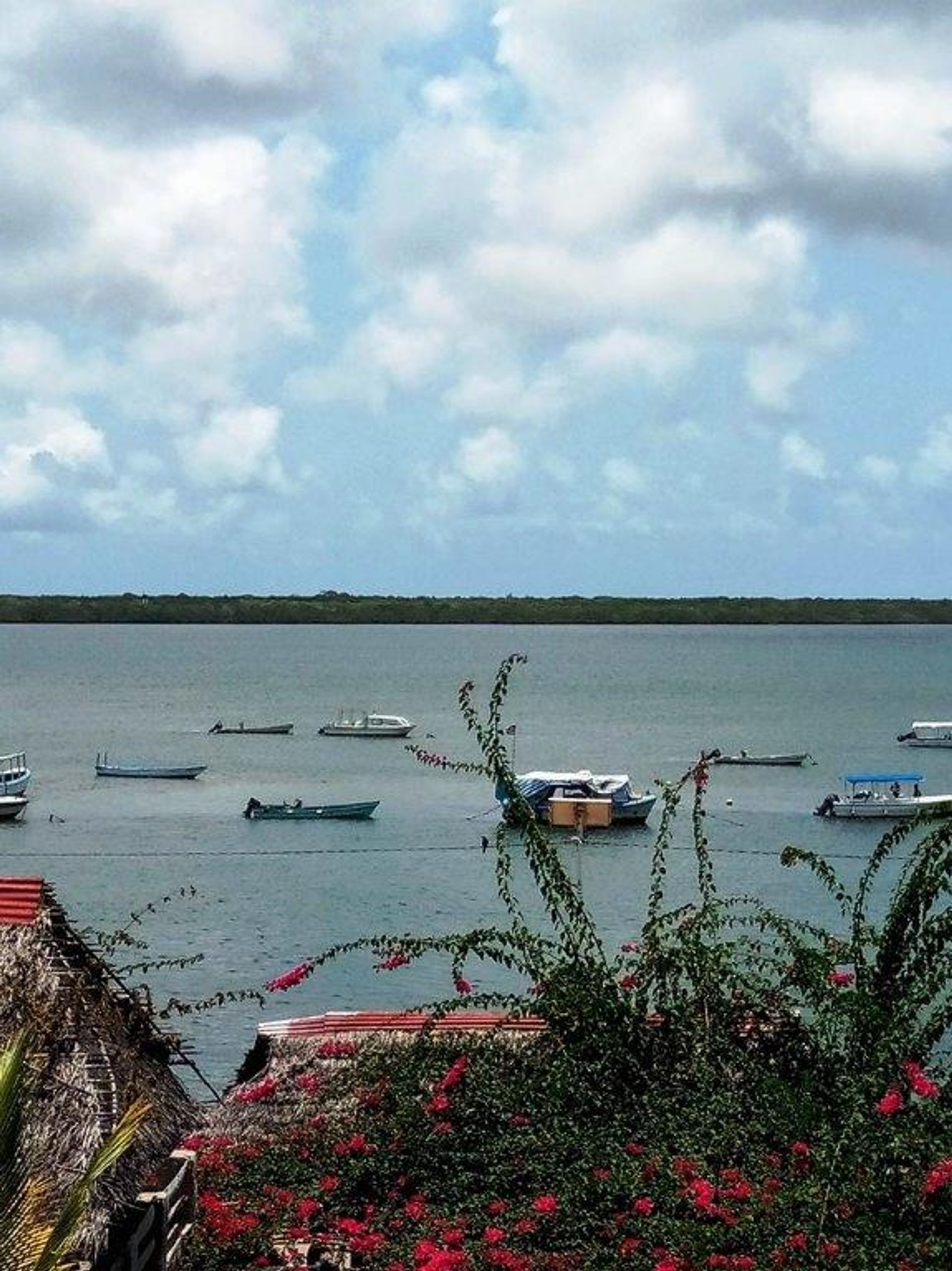 жилой дом в Lamu, Lamu County 12242991