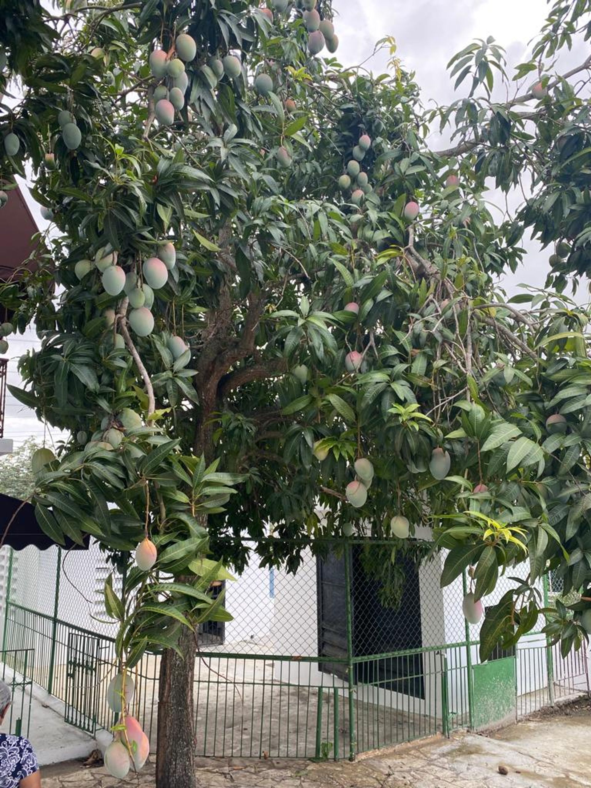 Casa nel Santo Domingo, Distrito Nacional 12244367