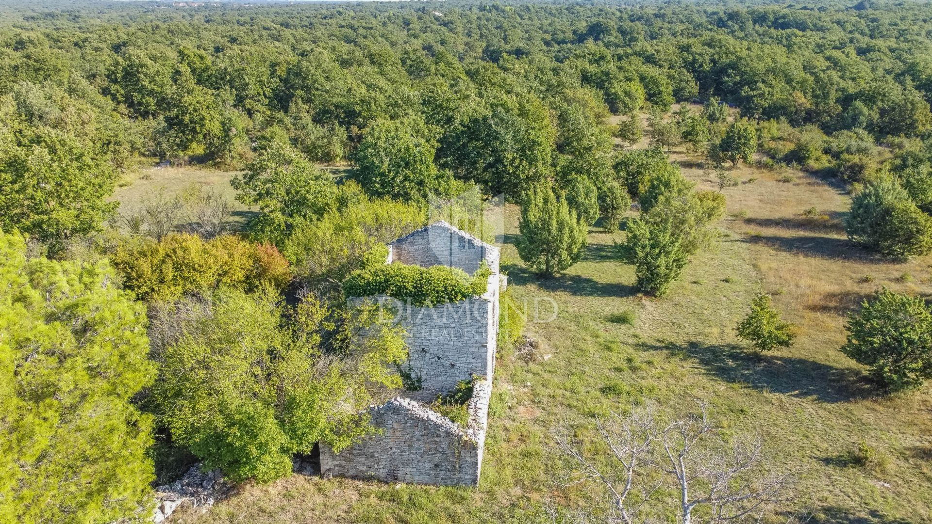 Terre dans Vodnjan, Istarska Zupanija 12245138