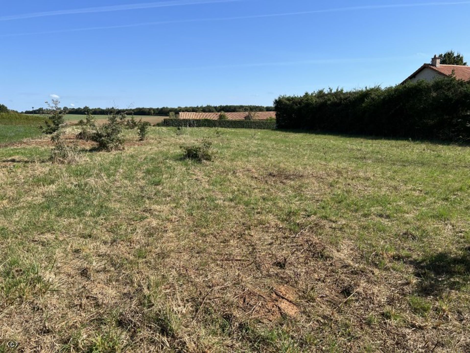 Land im Civray, Nouvelle-Aquitaine 12246163