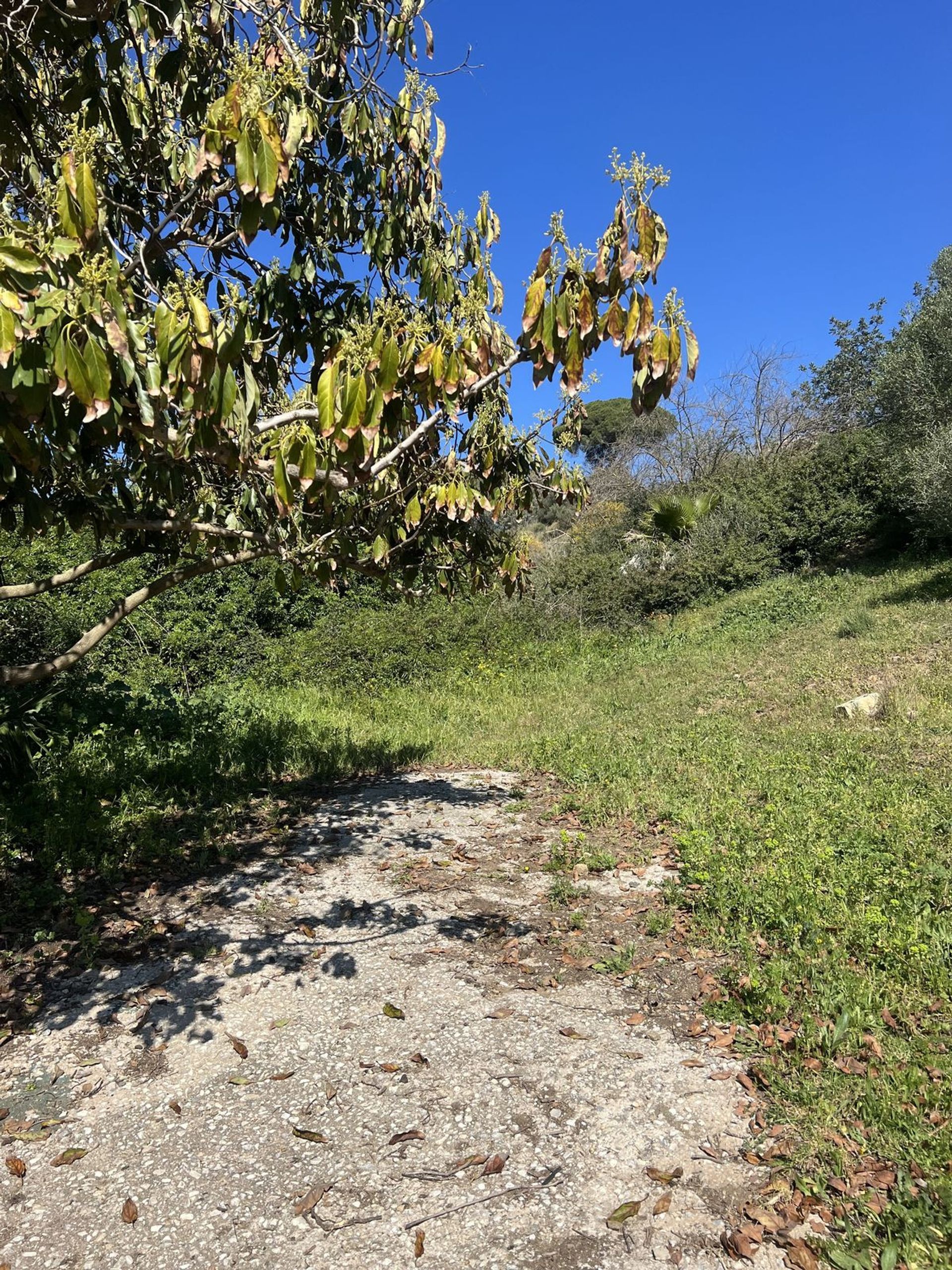 Land im Las Lagunas de Mijas, Andalucía 12246754