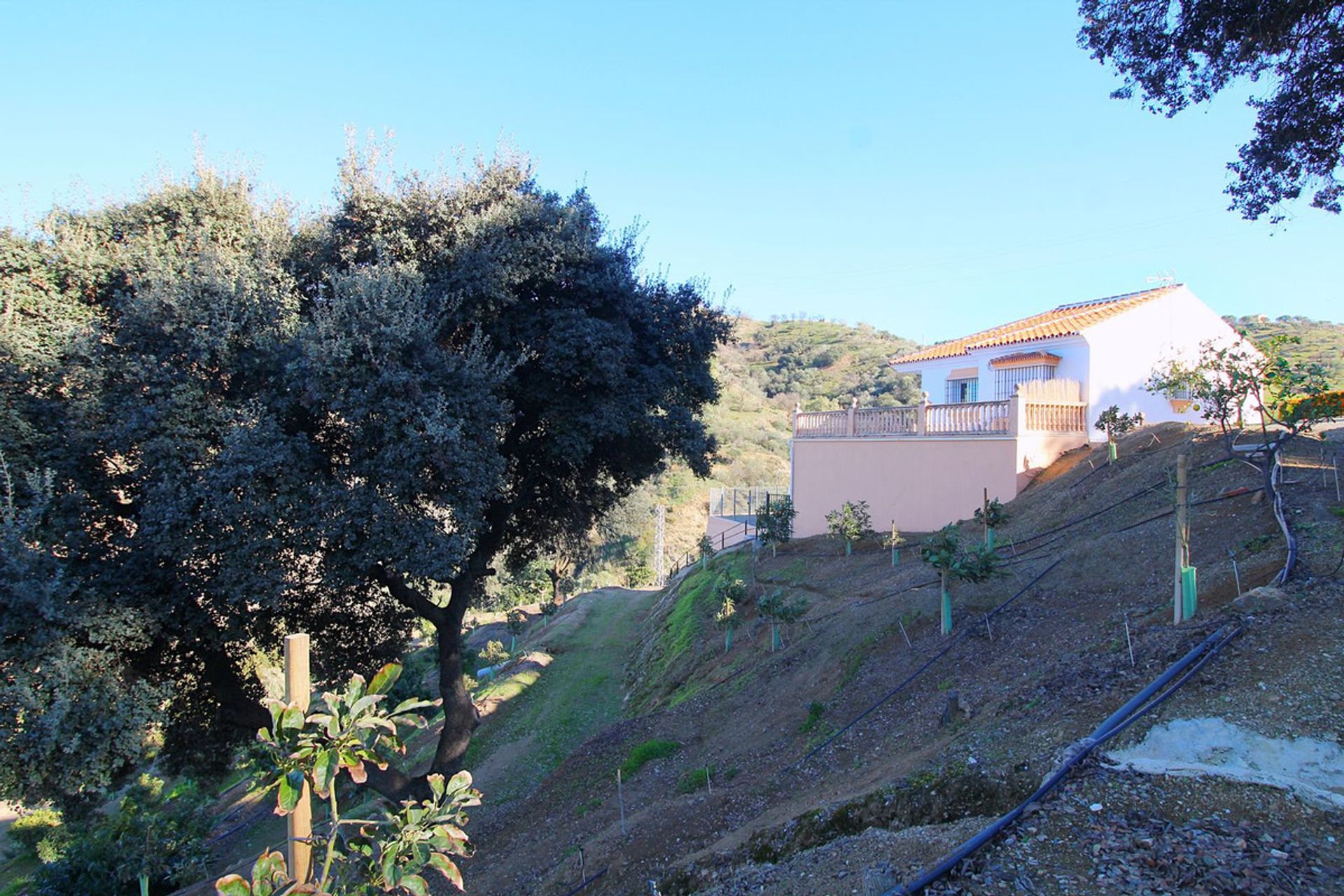 casa en Coín, Andalusia 12246793