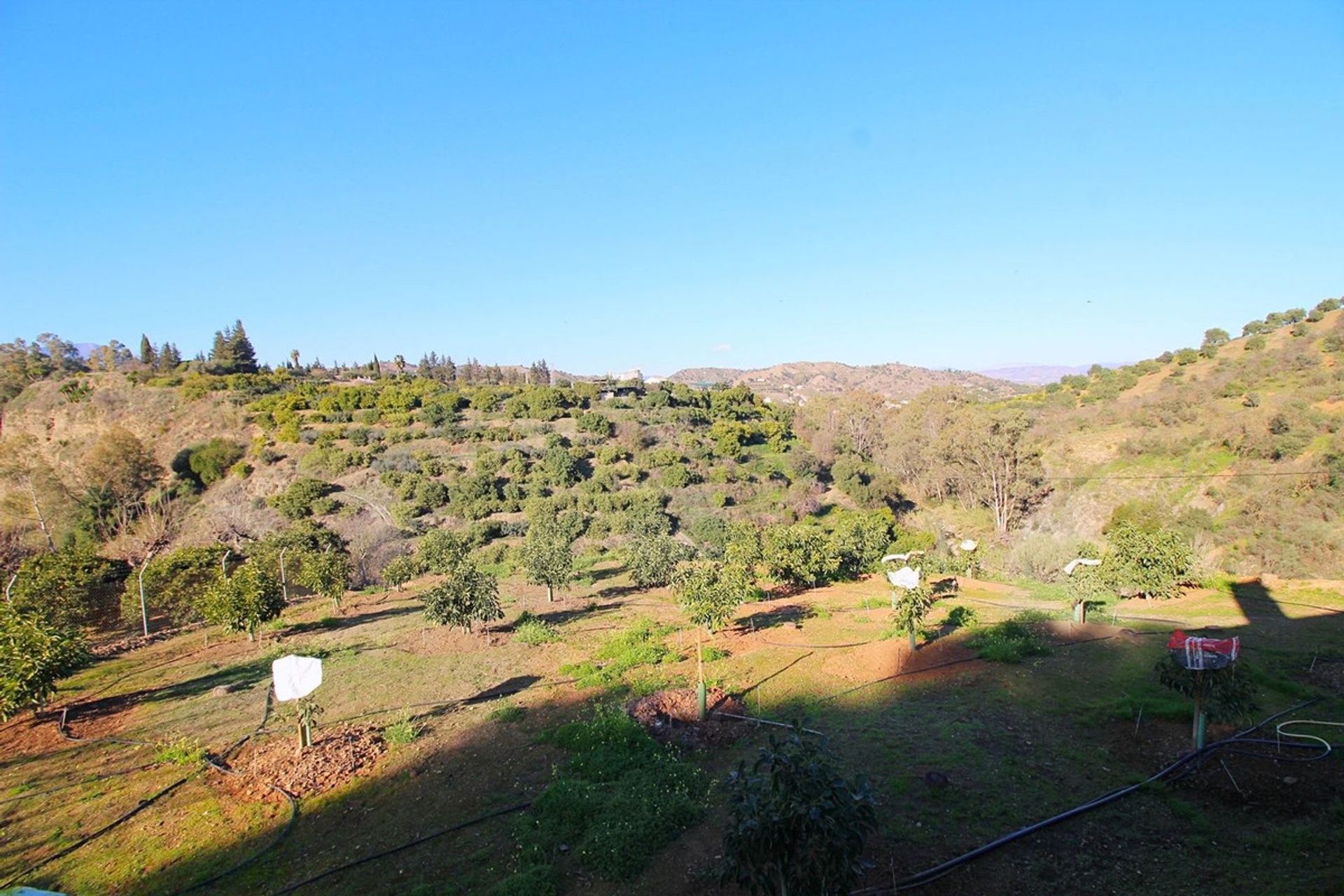 casa en Coín, Andalusia 12246793