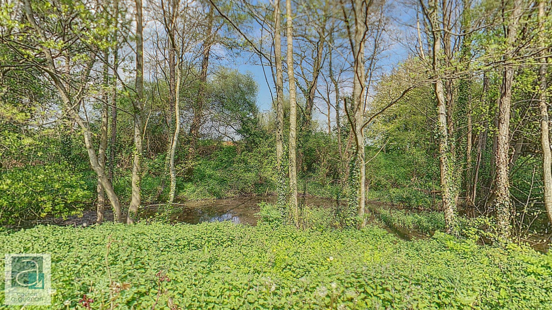 Haus im Plumaudan, Bretagne 12247978