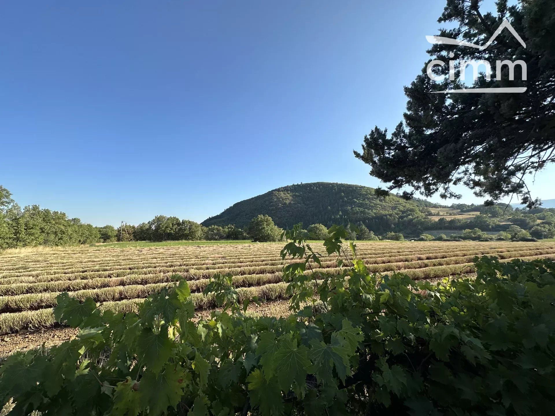 Talo sisään Sisteron, Alpes-de-Haute-Provence 12248022